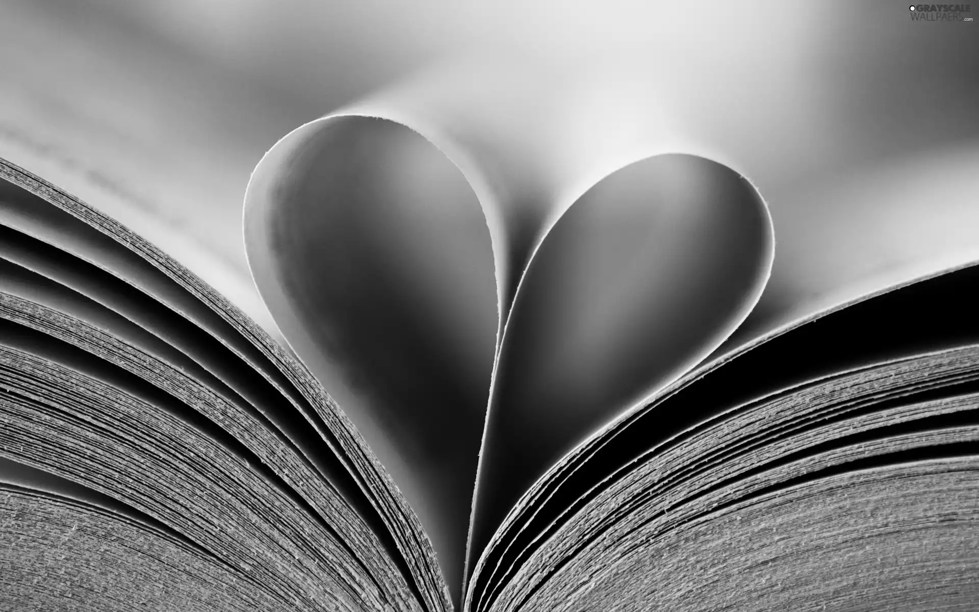 card, Book, Heart