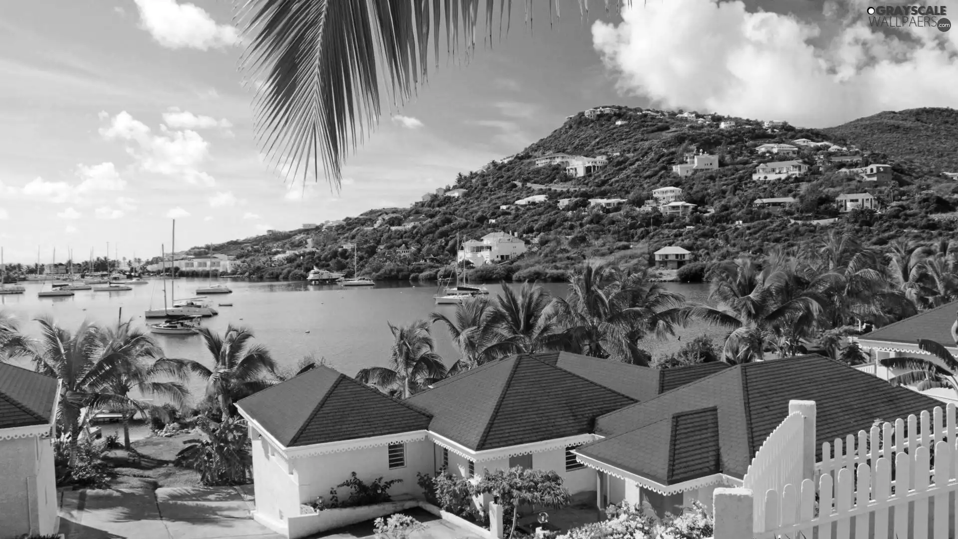 Houses, Palms, Caribbean, sea