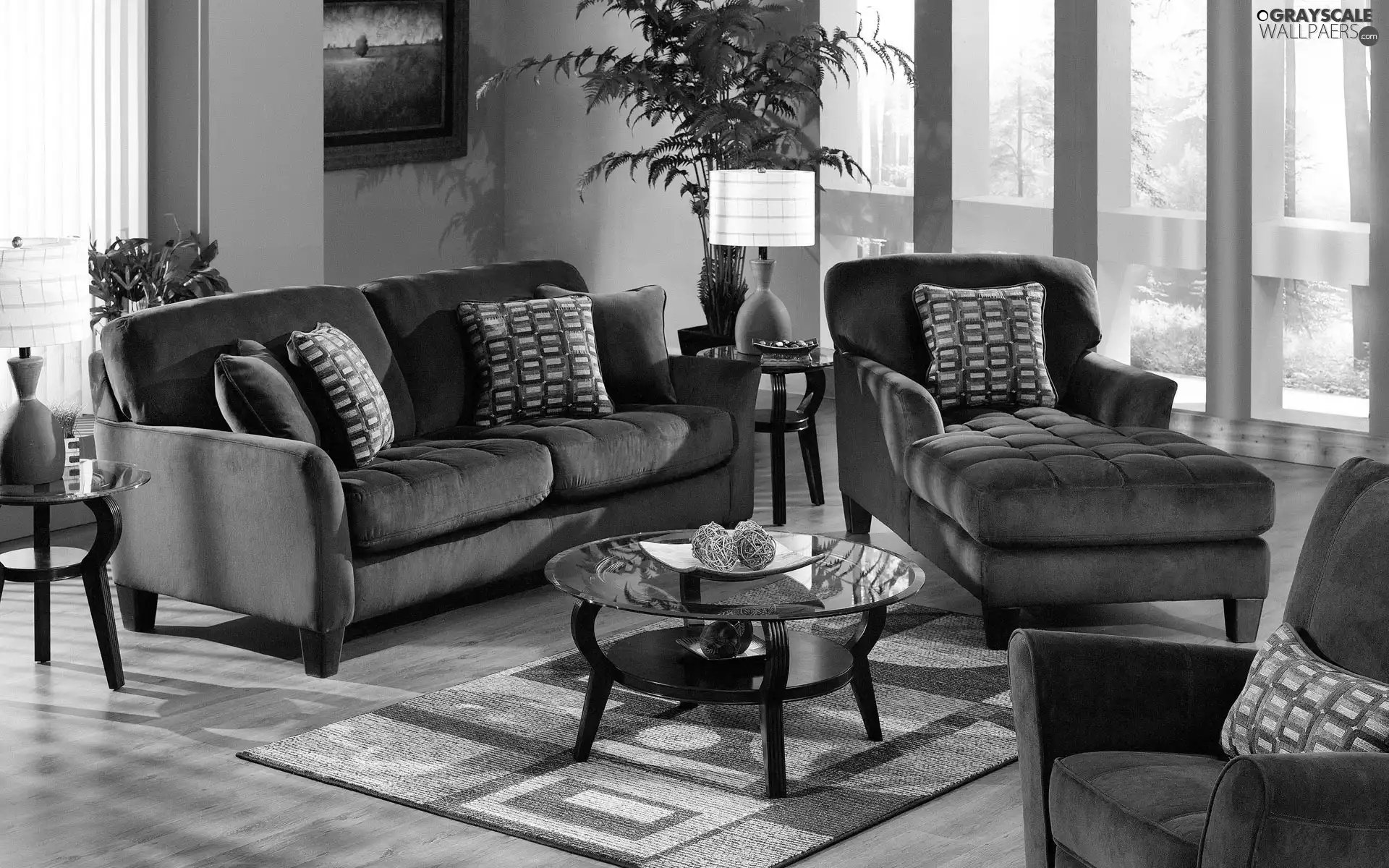 Sofa, Room, carpet, Windows, table, seats