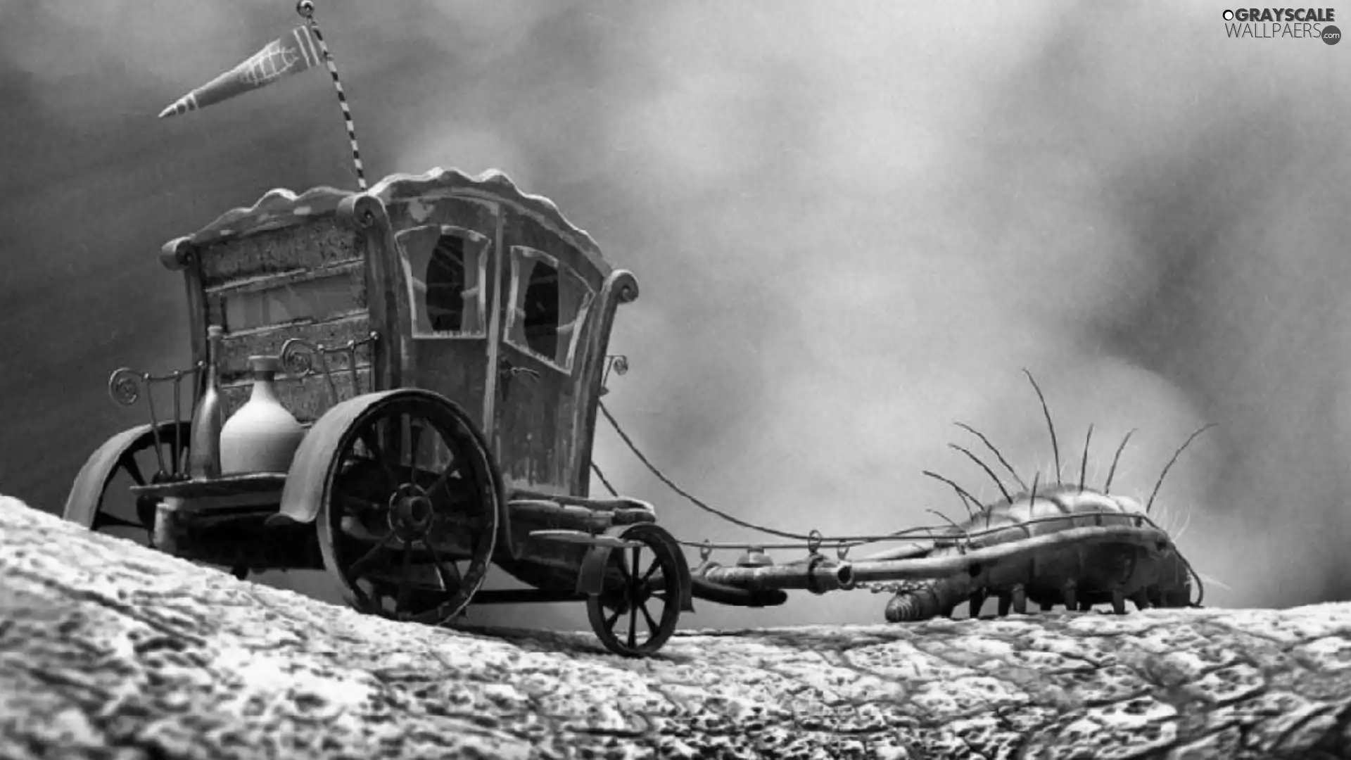 insect, carriage