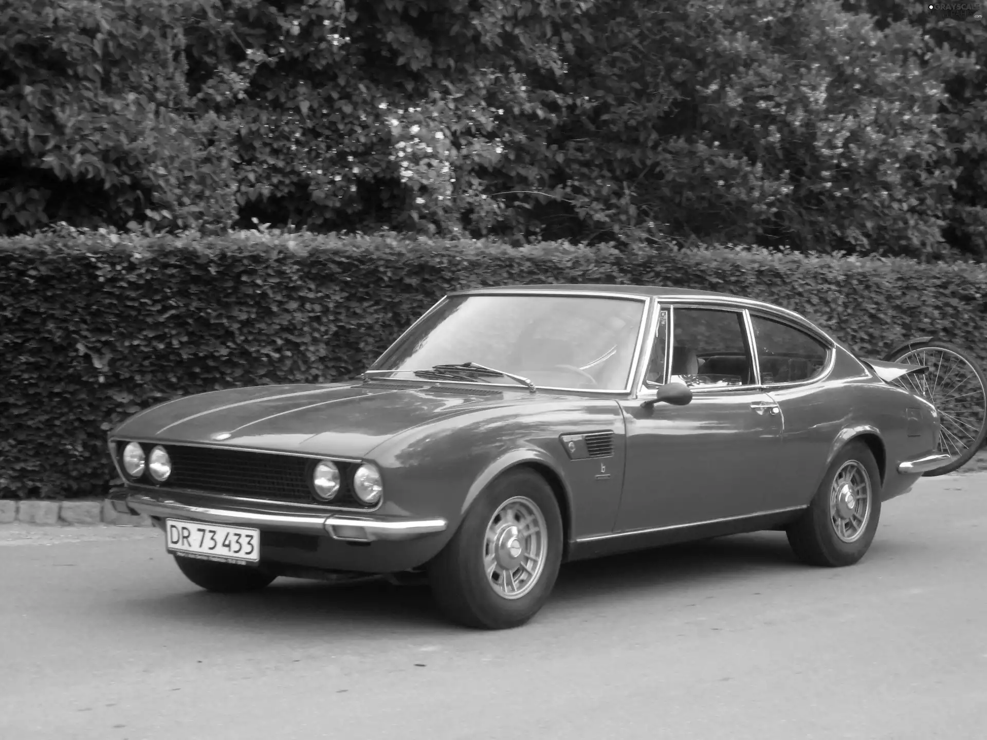 Red, Bike, Carrier, Fiat Dino