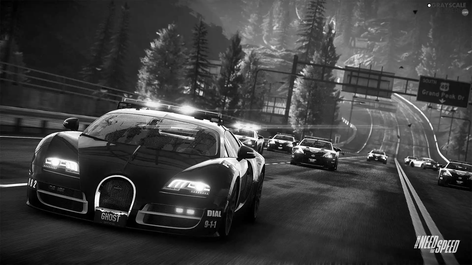 Need for Speed Rivals, cars, Bugatti, Racing