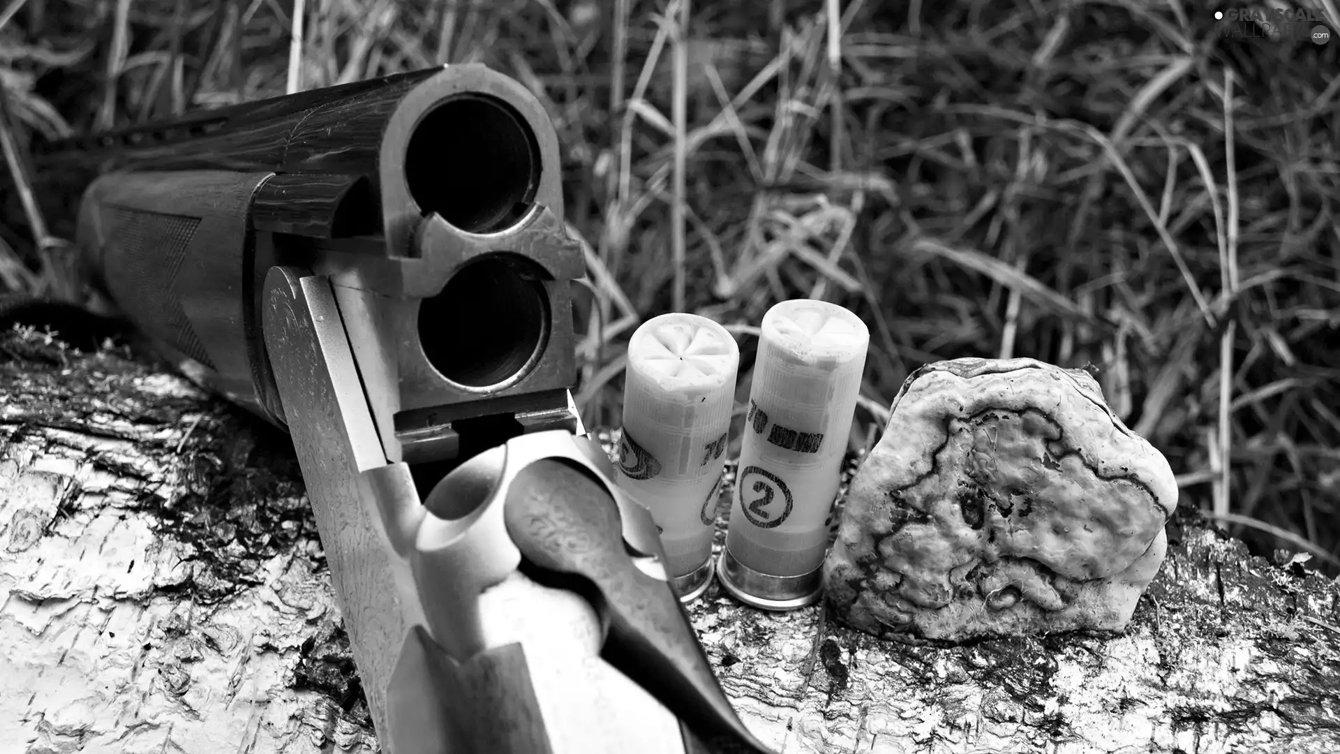 Weapons, cartridges