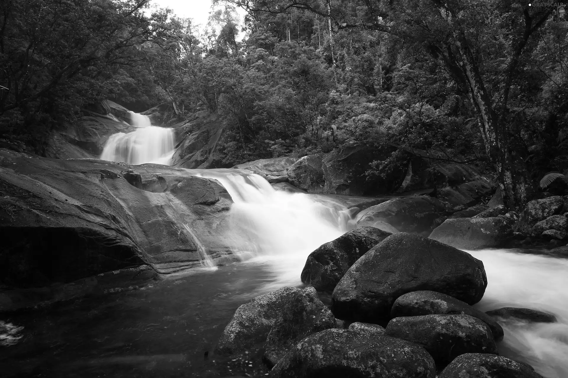 cascade, Stones, tear, River, forest