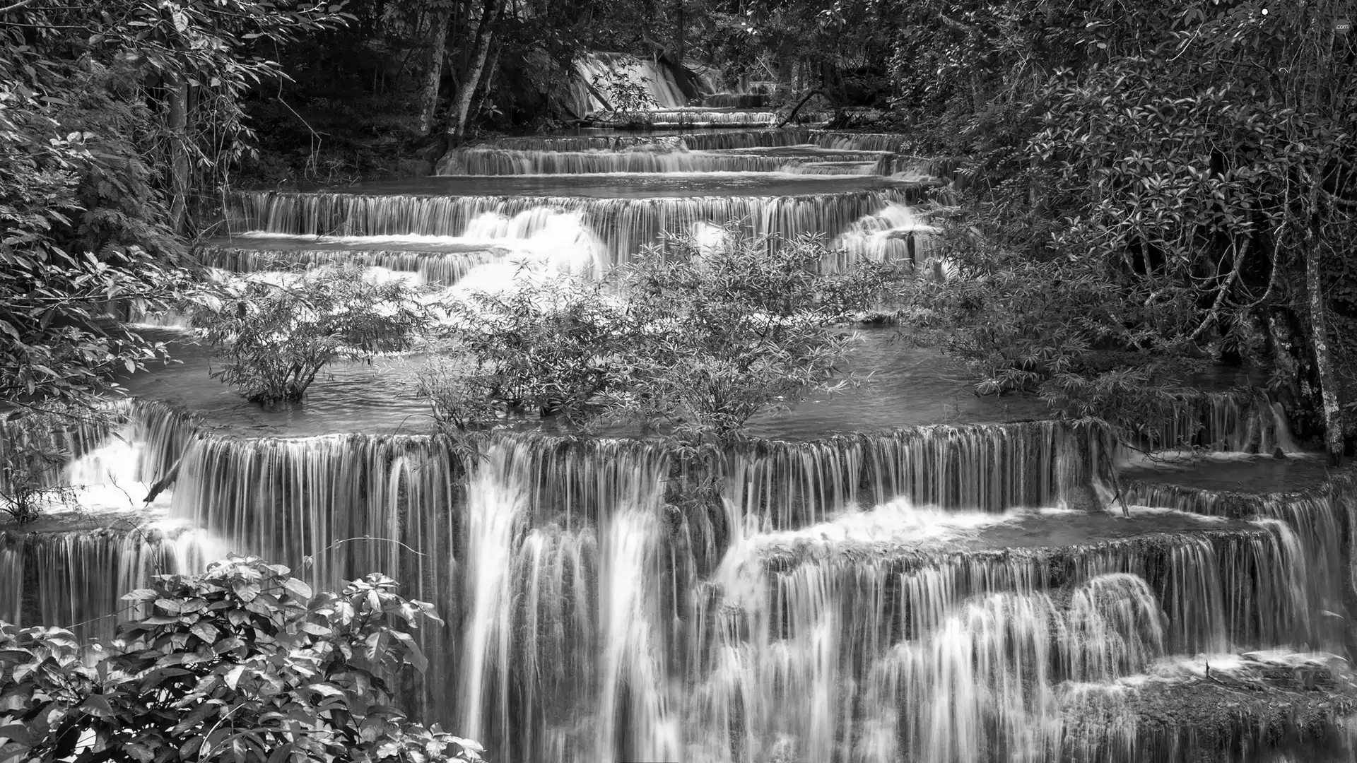 forest, waterfall, Cascades, River