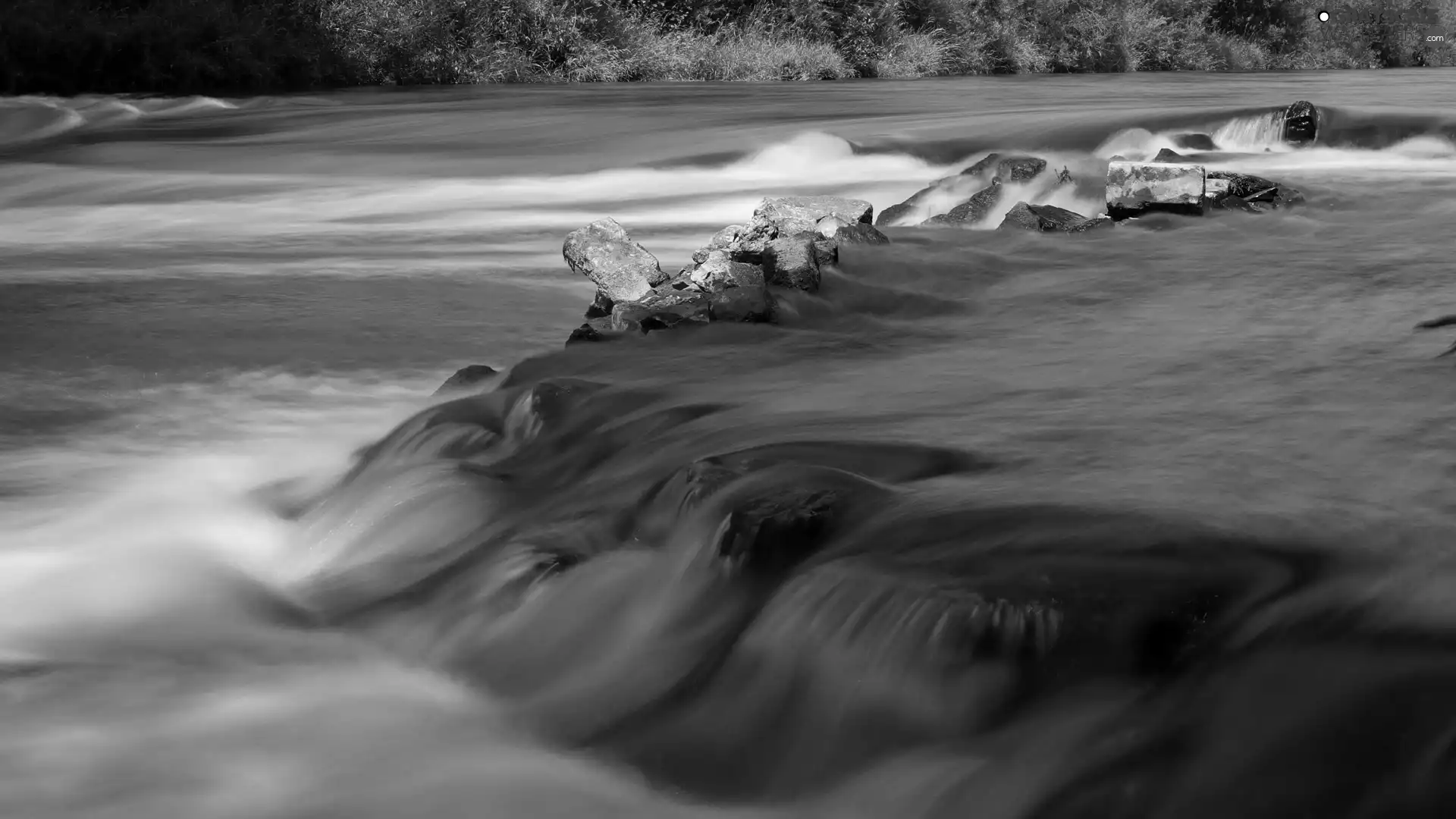 Stones, little doggies, Cascades, water