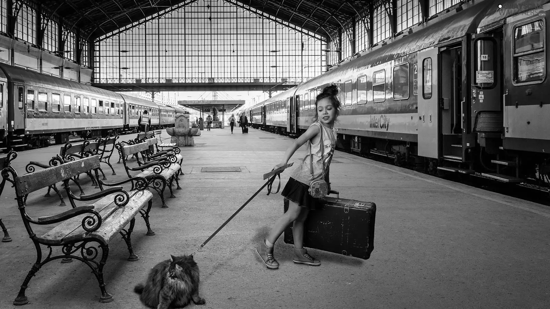 cat, platform, bench, girl, Trains, case, Leash