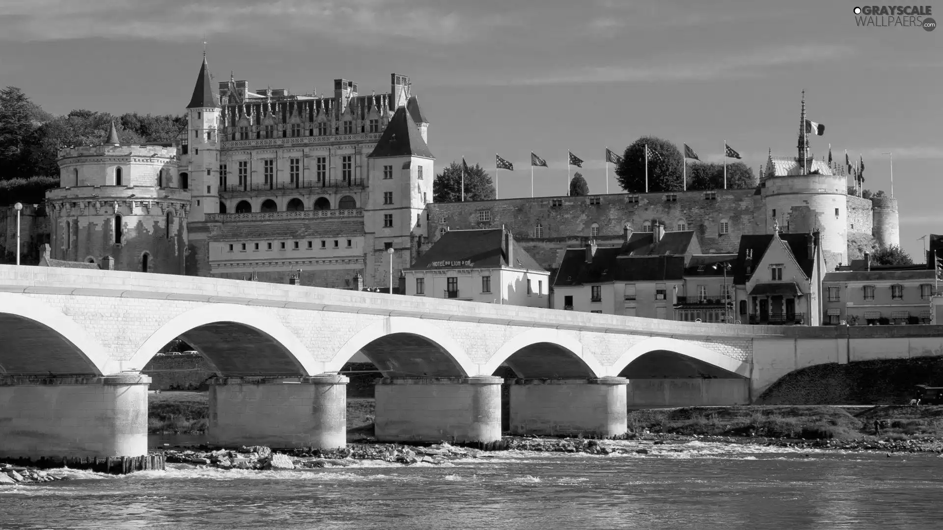 Castle, Amboise, bridge, River, France