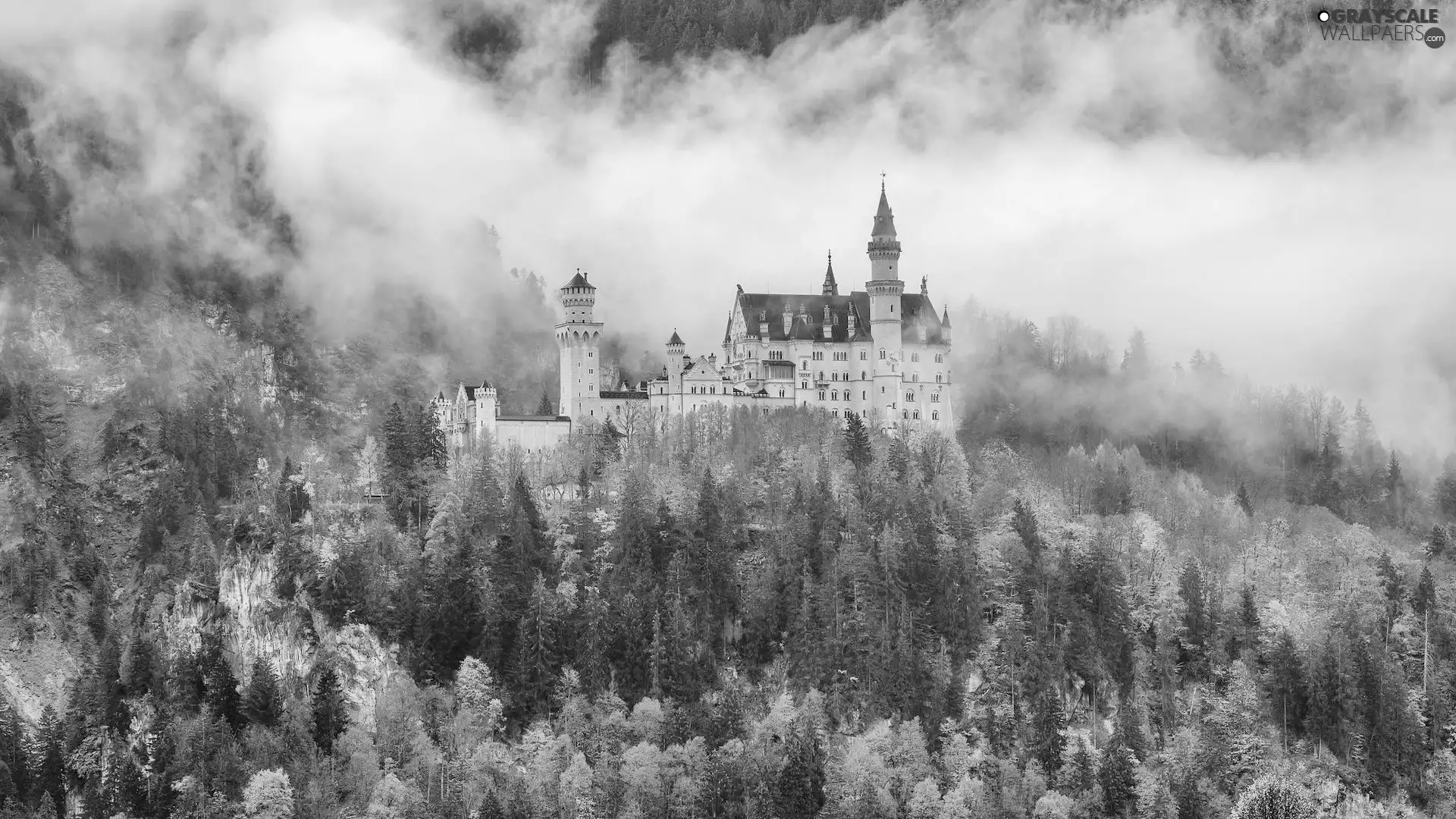 Neuschwanstein, Bavaria, Fog, Castle, Germany, woods, autumn