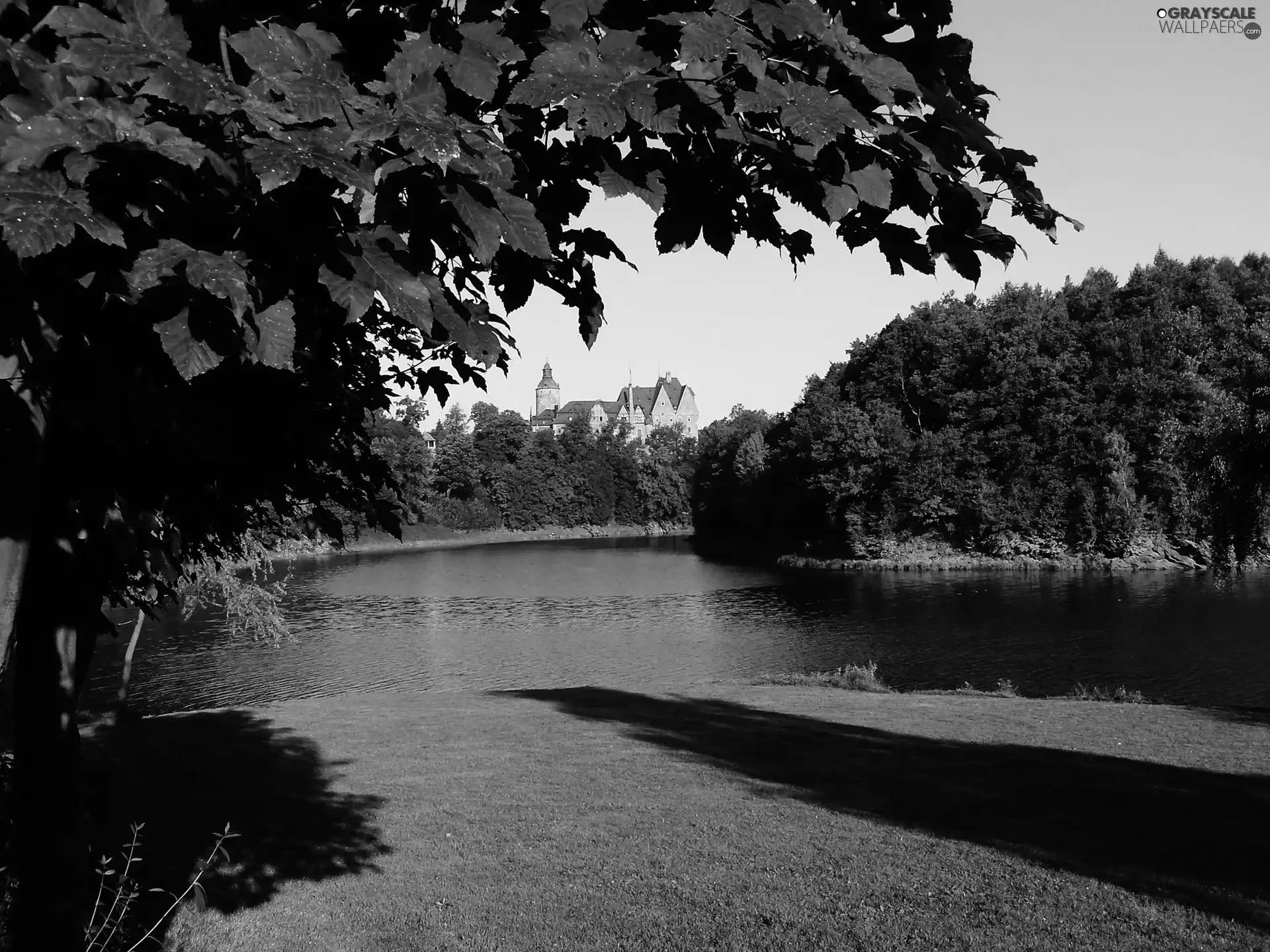 lake, trees, viewes, Castle