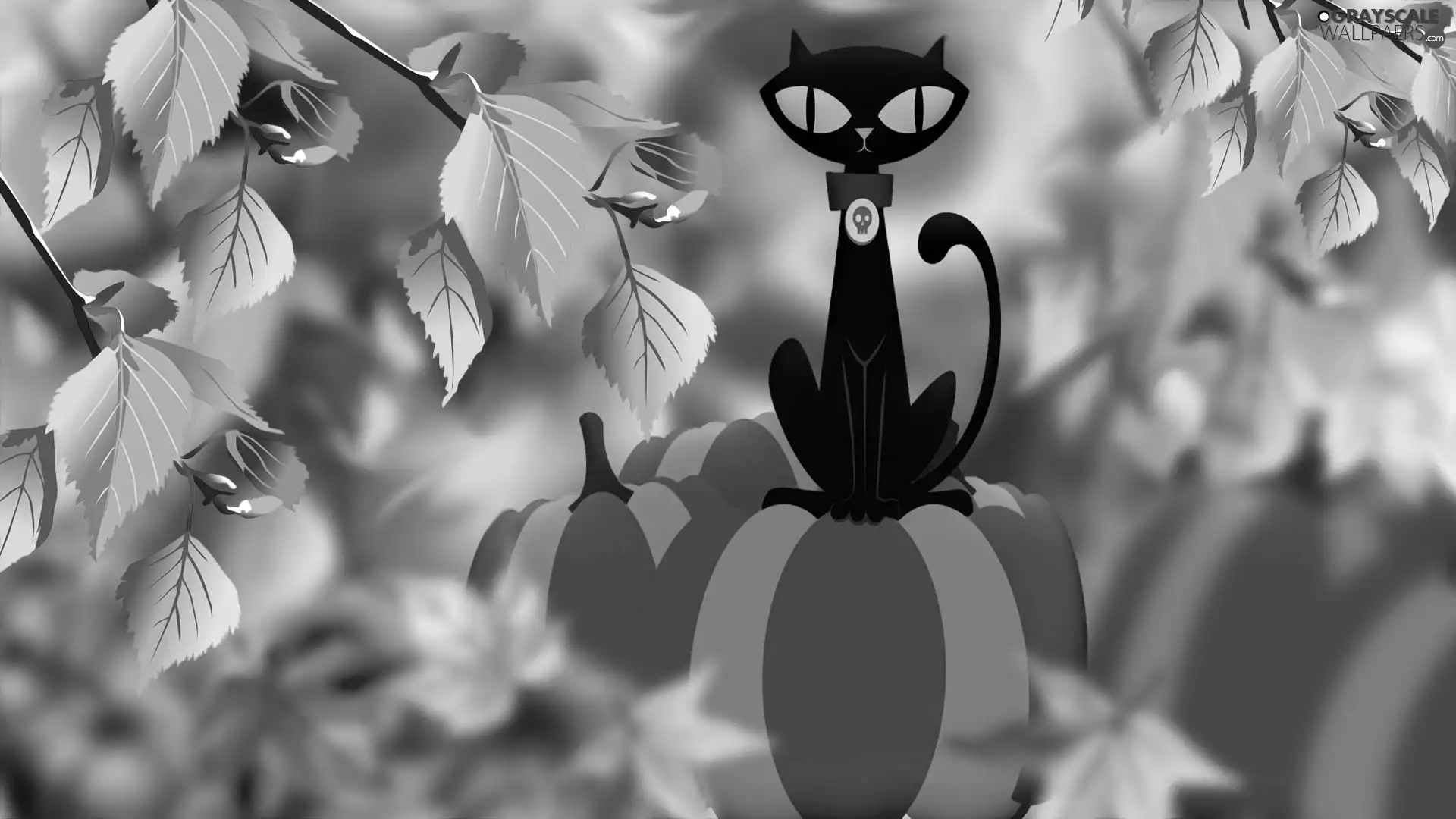 pumpkin, Leaf, 2D, cat