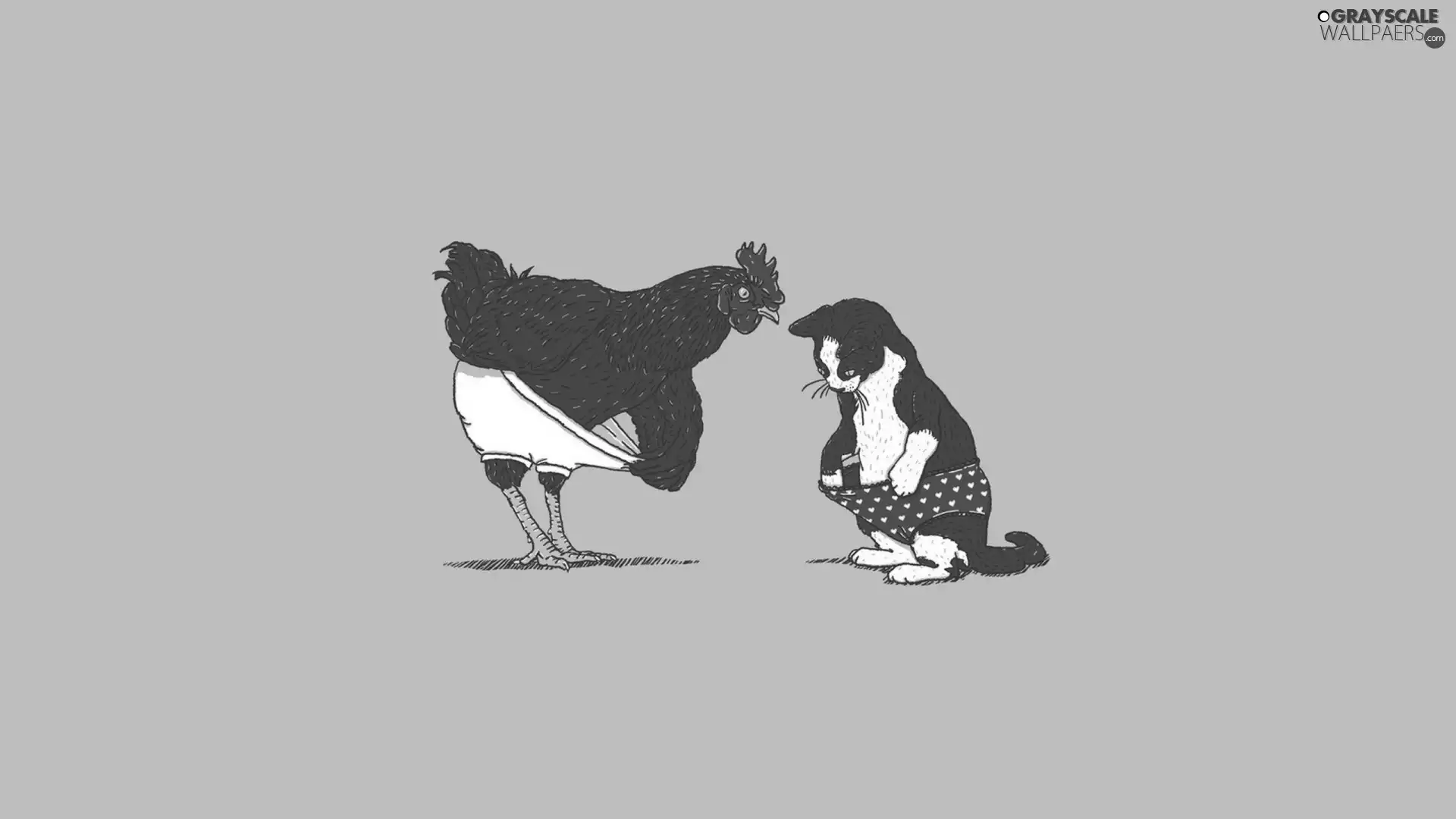 rooster, cat