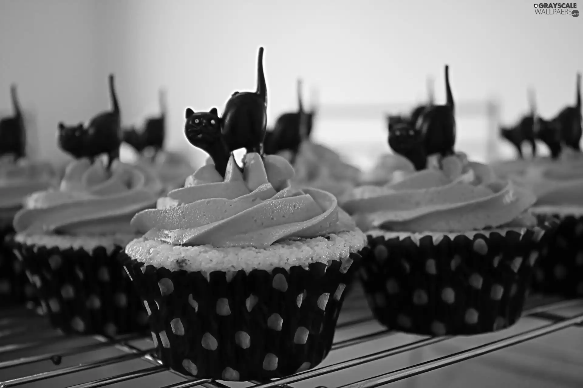 Muffins, Black, cats, Halloween