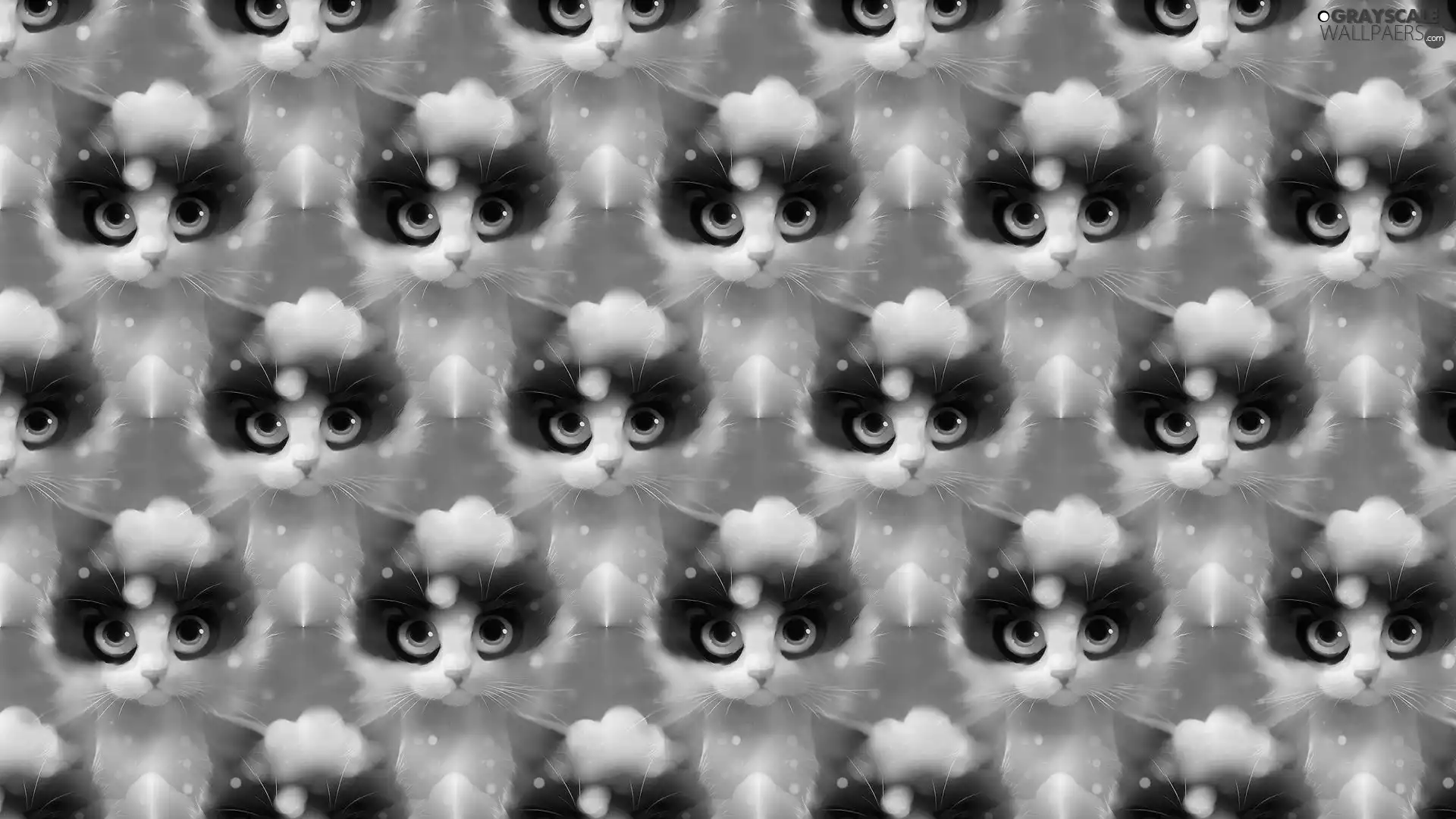 texture, cats