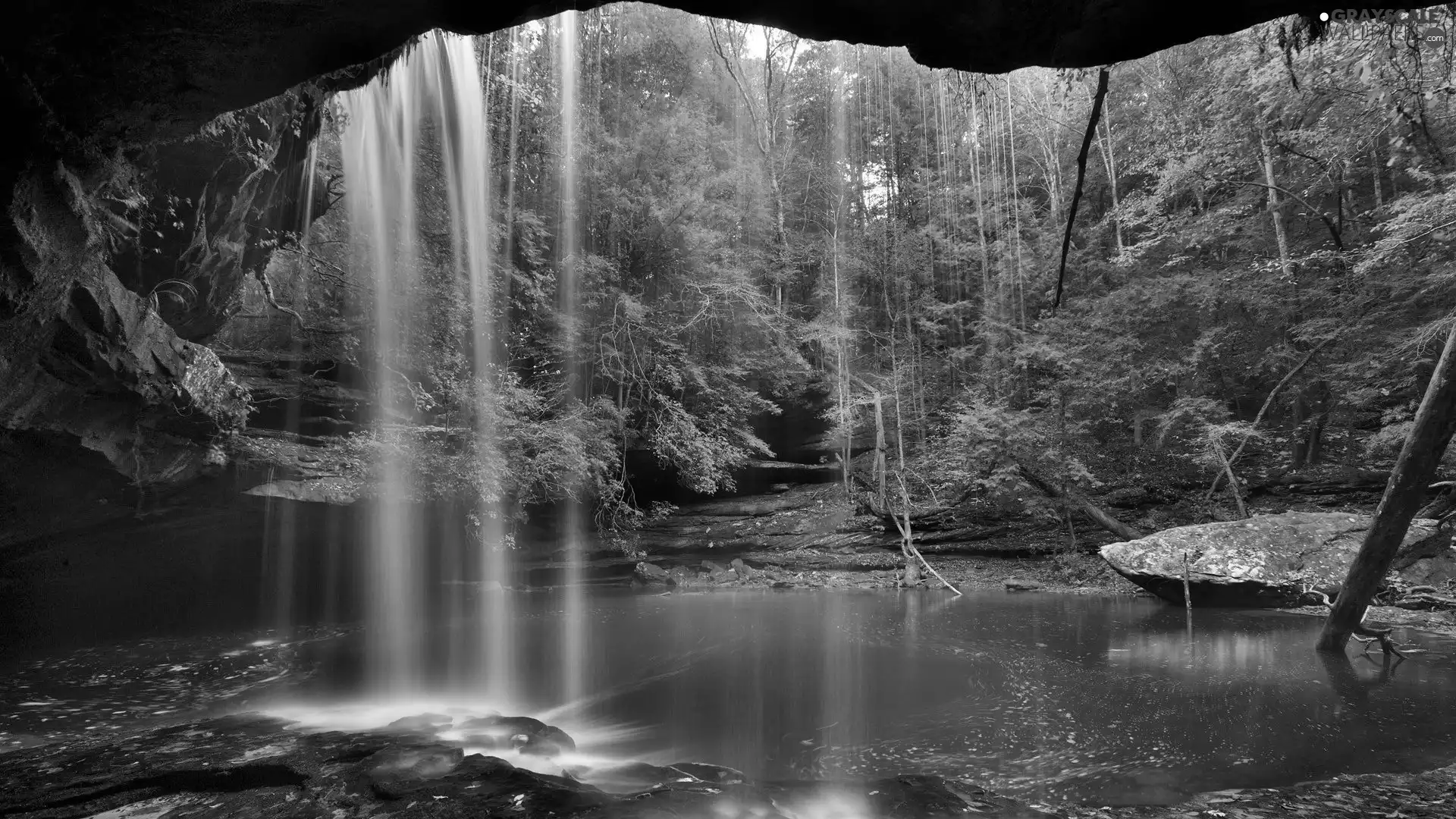 cave, forest, waterfall