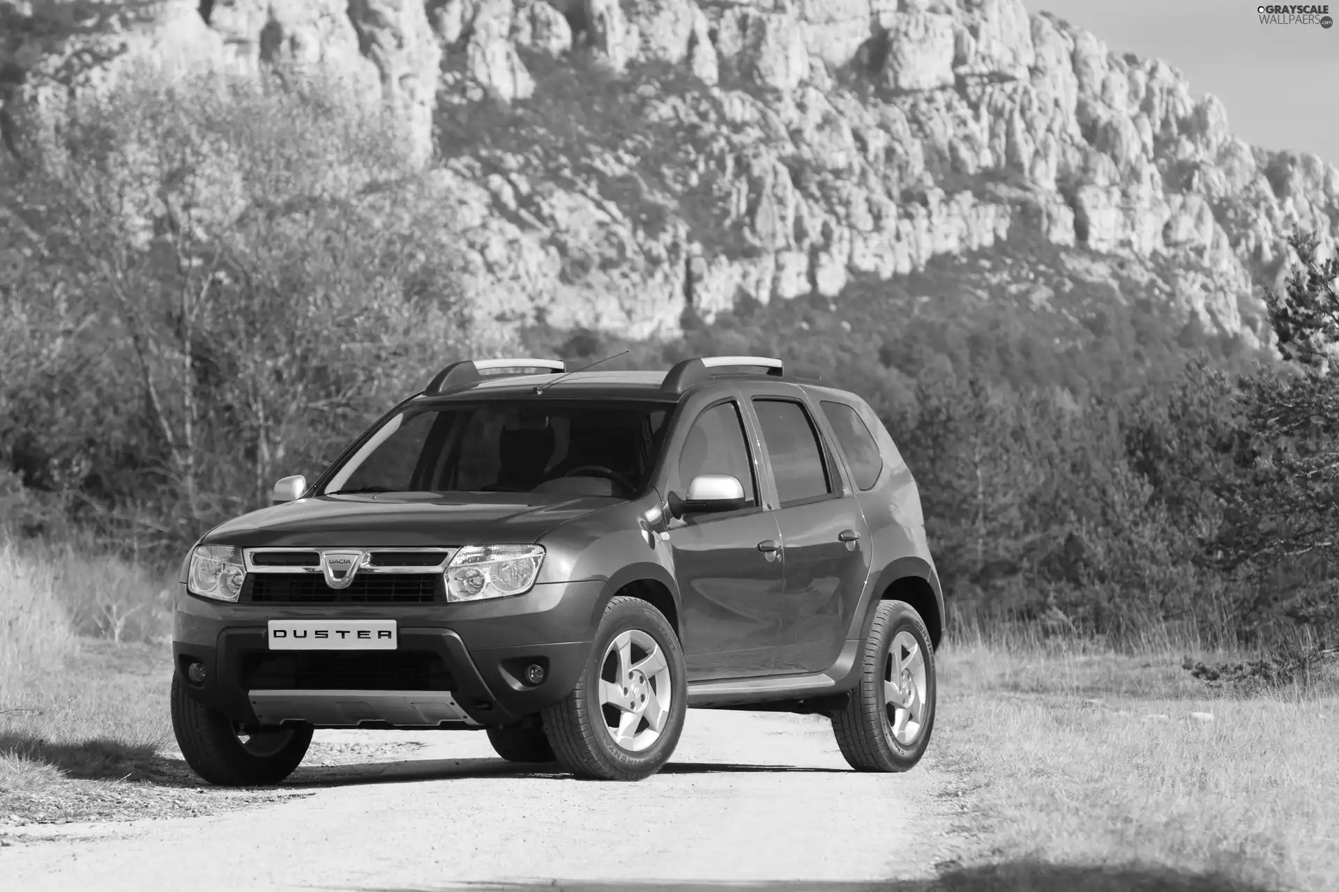 Leading, Dacia Duster, CD