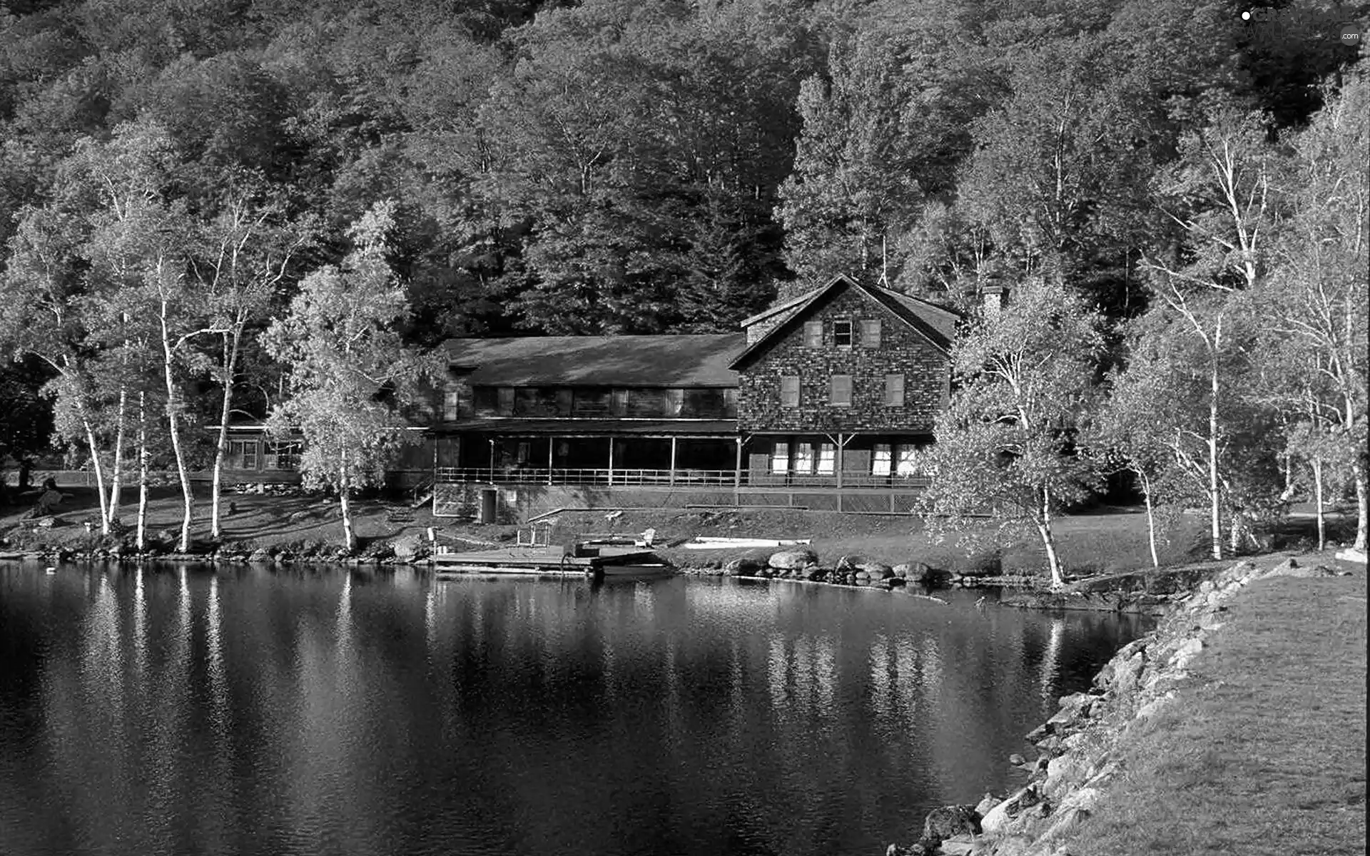 center, Recreation, forest, lake, autumn