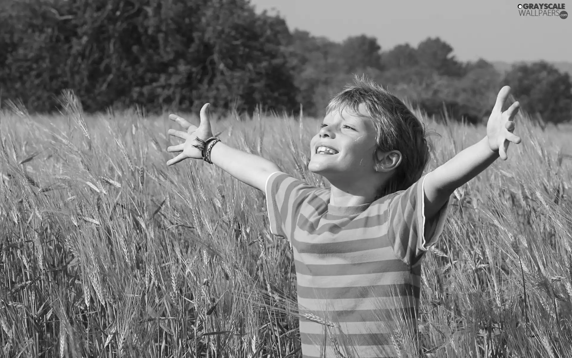 cereals, boy, corn