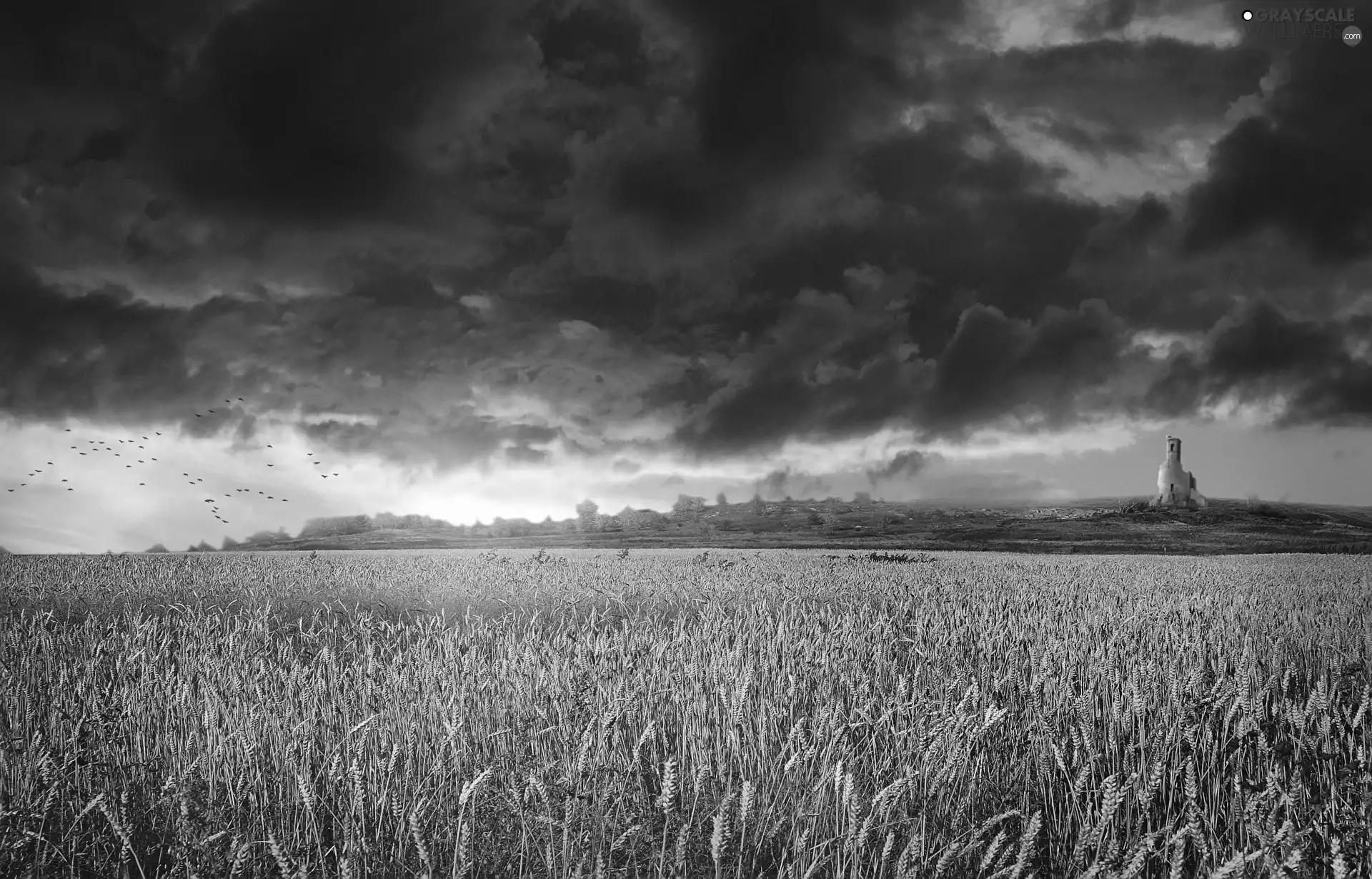 west, clouds, cereals, sun