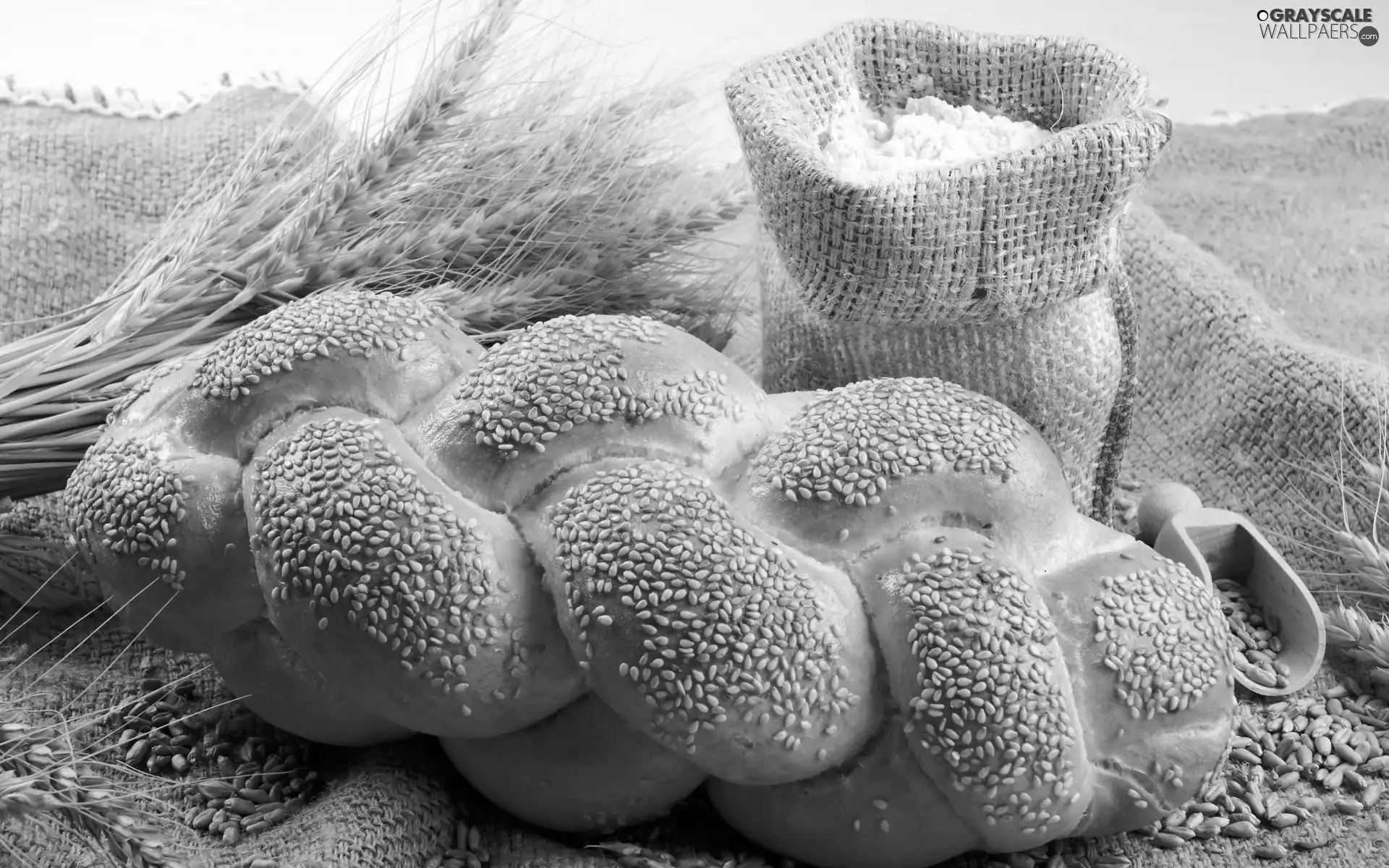 Ears, flour, Challah, grains