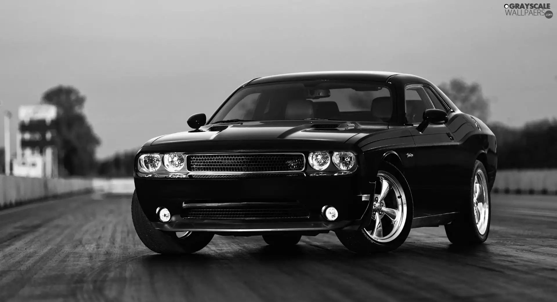 Dodge Challenger RT