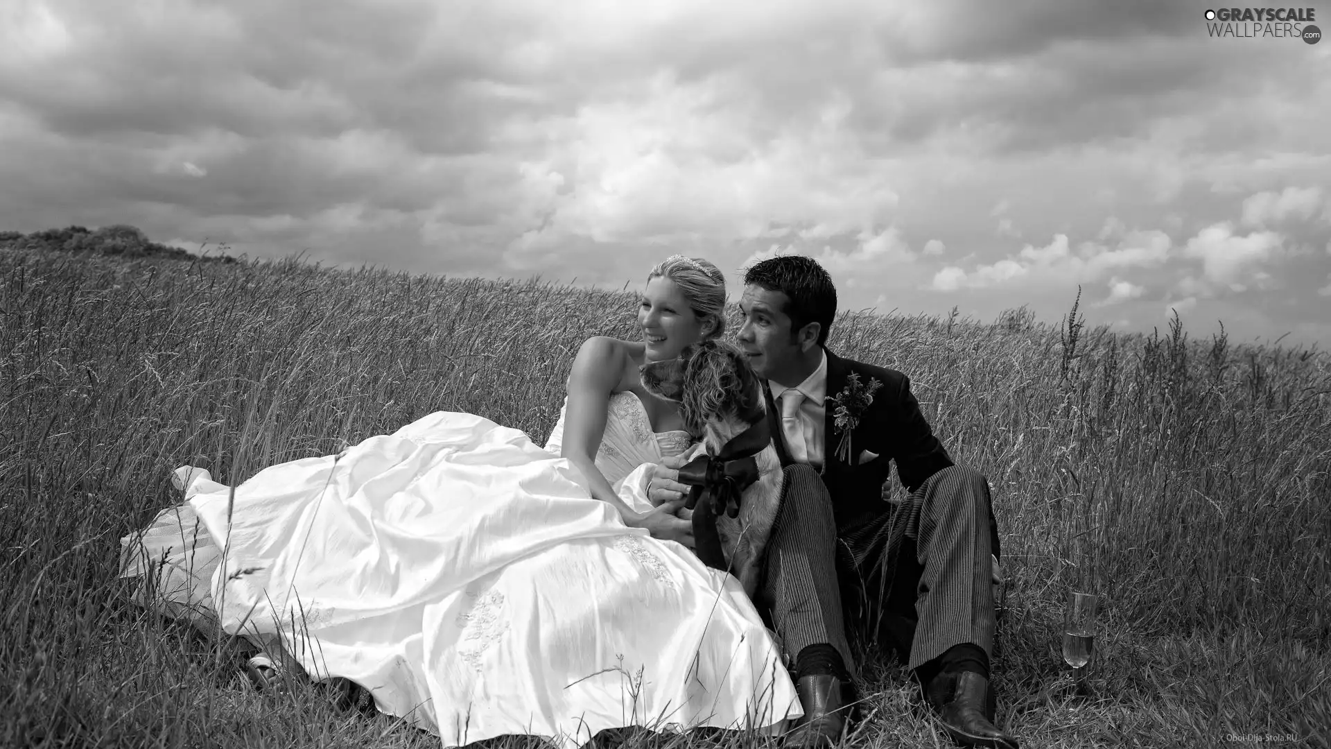 wine glass, young, White, Meadow, Steam, Champagne, Dress