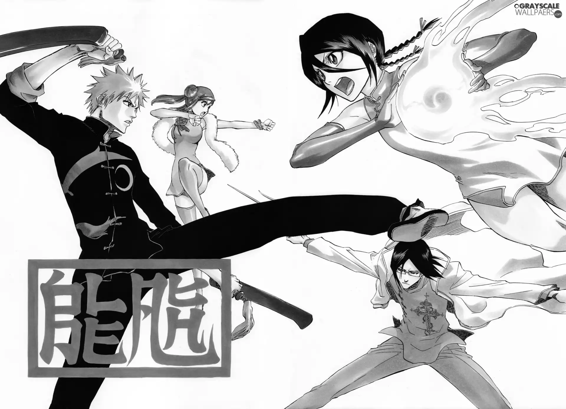 Characters, bleach, Fight