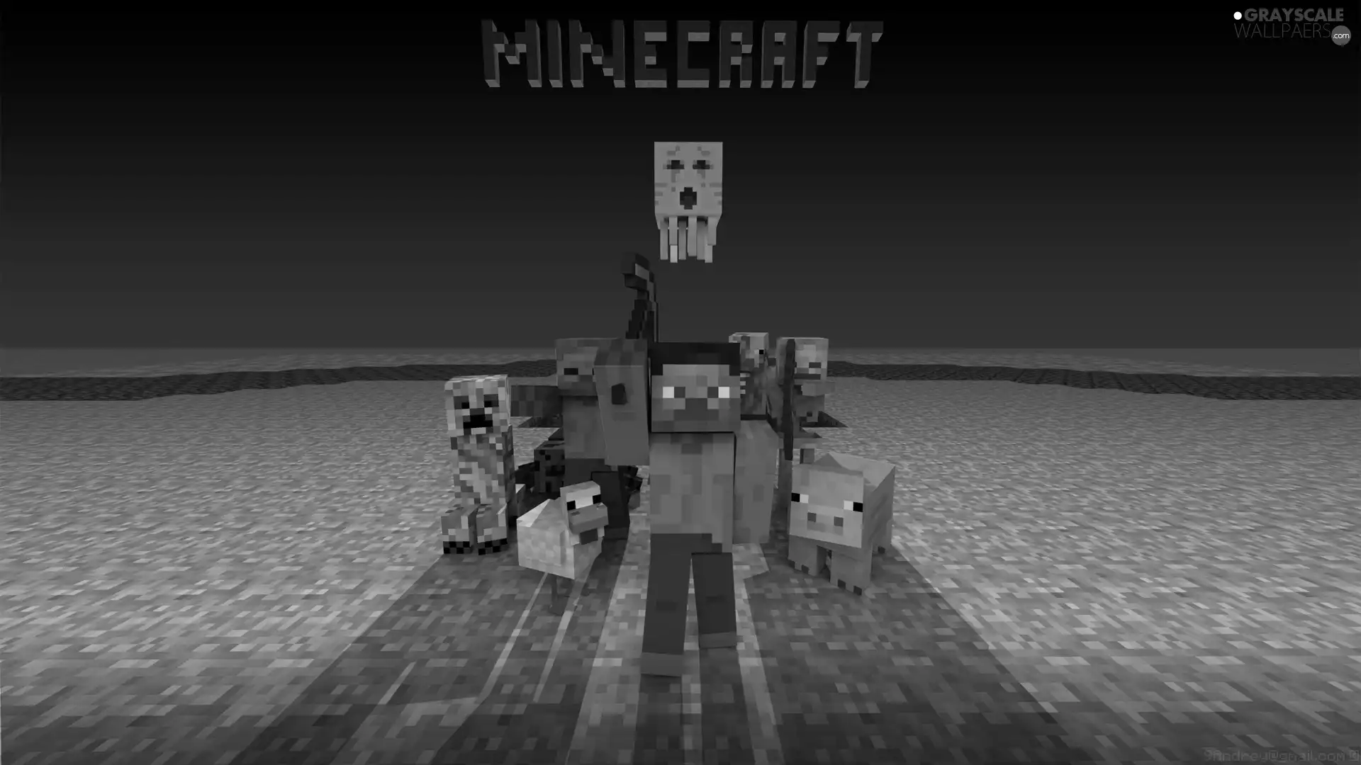 Minecraft, Characters