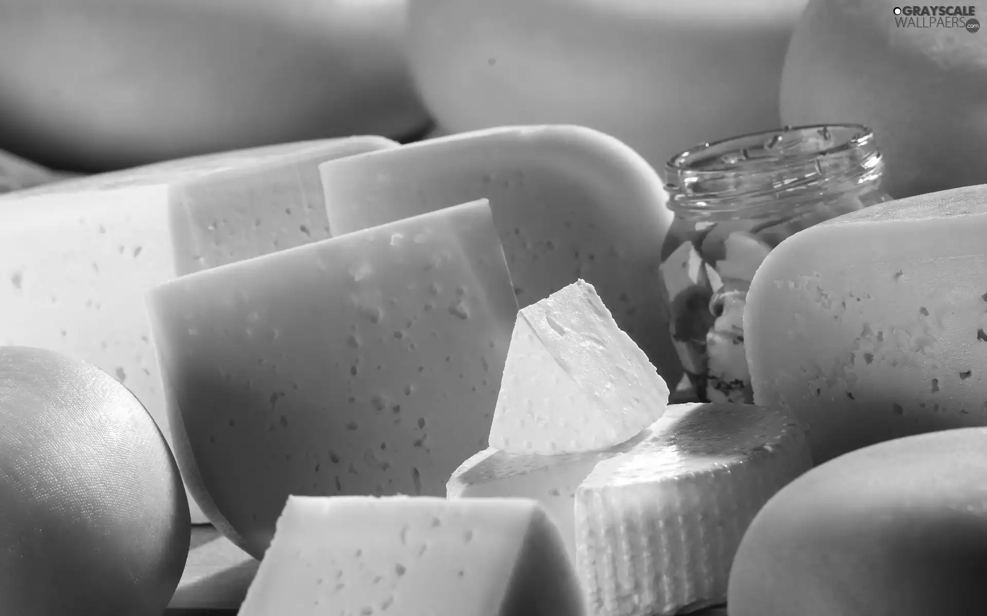 cheeses, different, Species