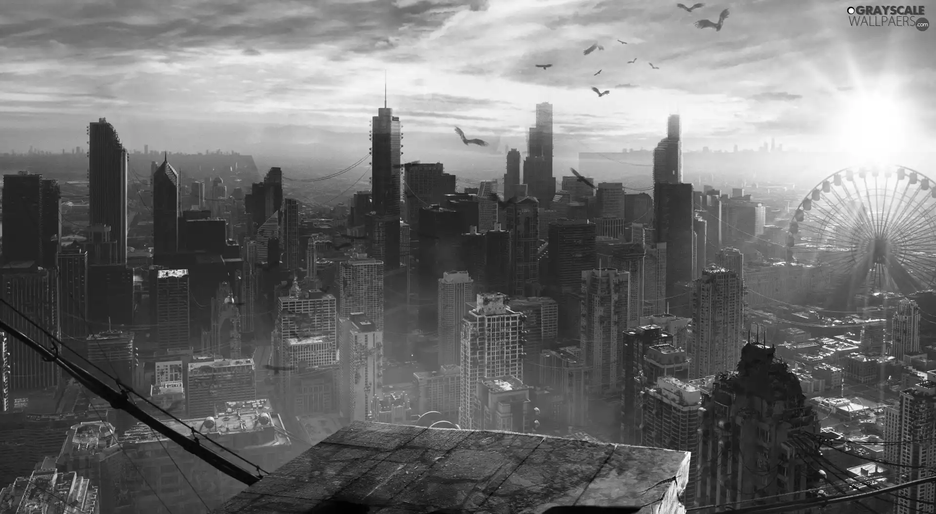 Divergent, Chicago