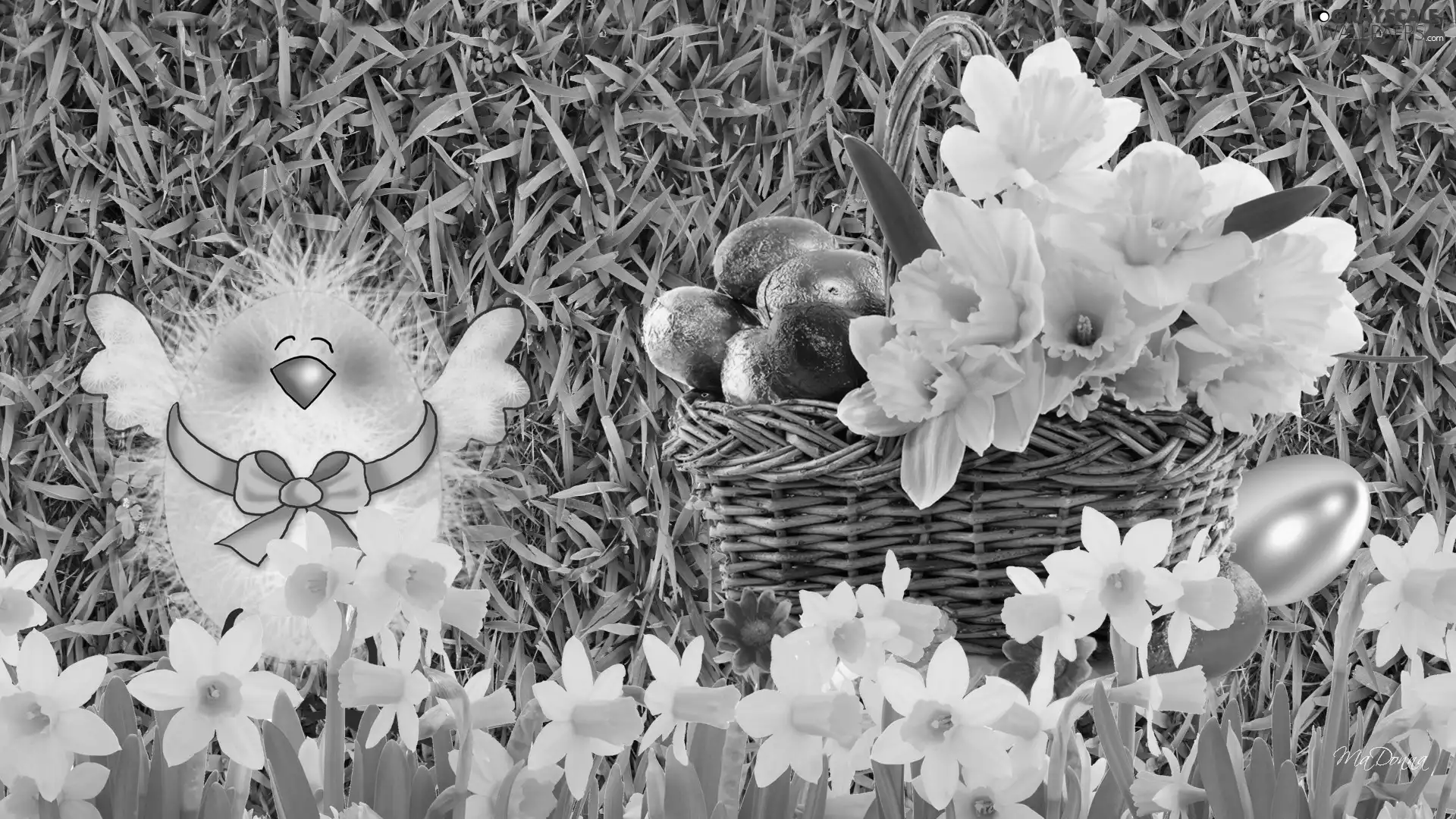 eggs, Easter, chicken, Daffodils, basket, color