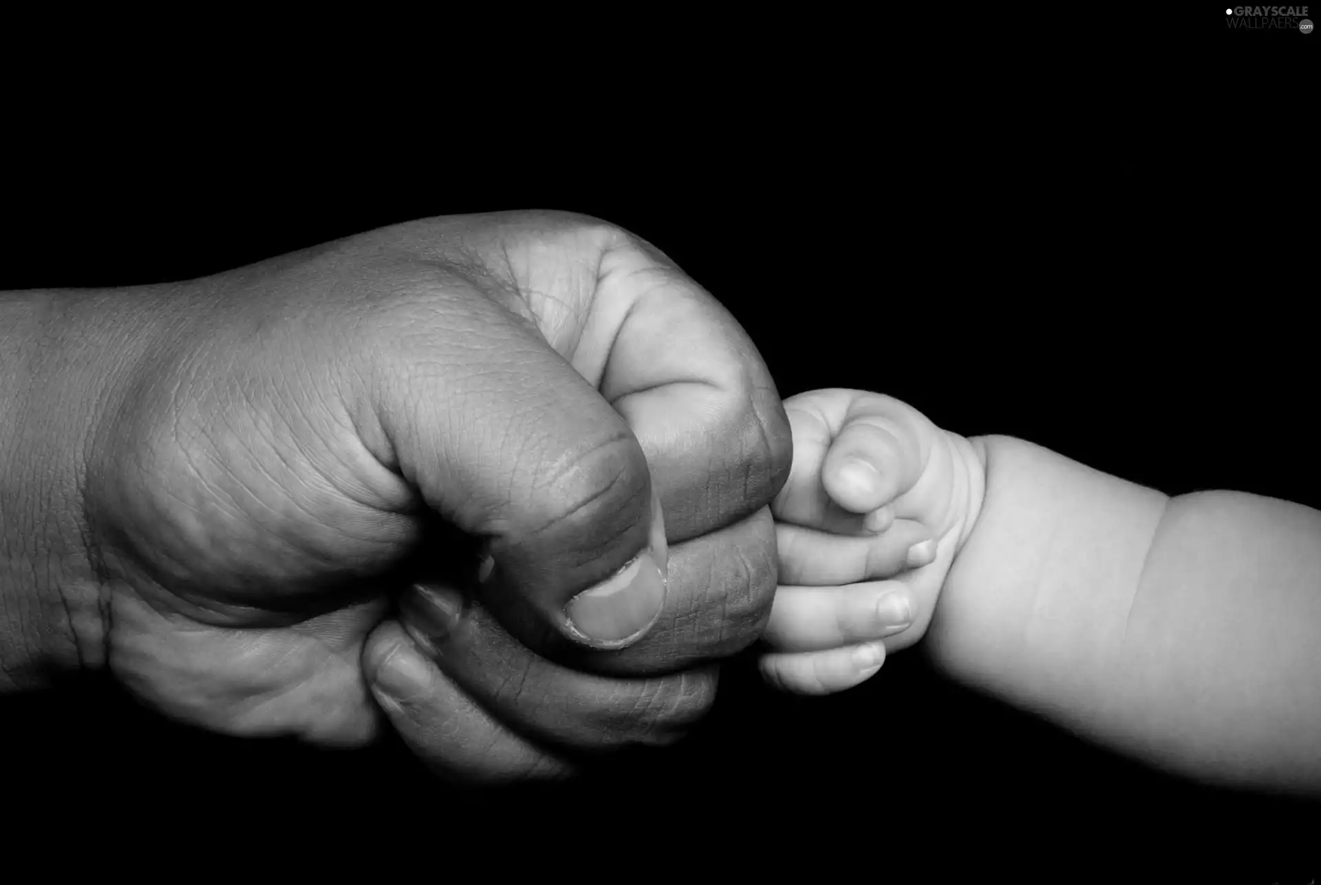 Men, Fist, child-, hand