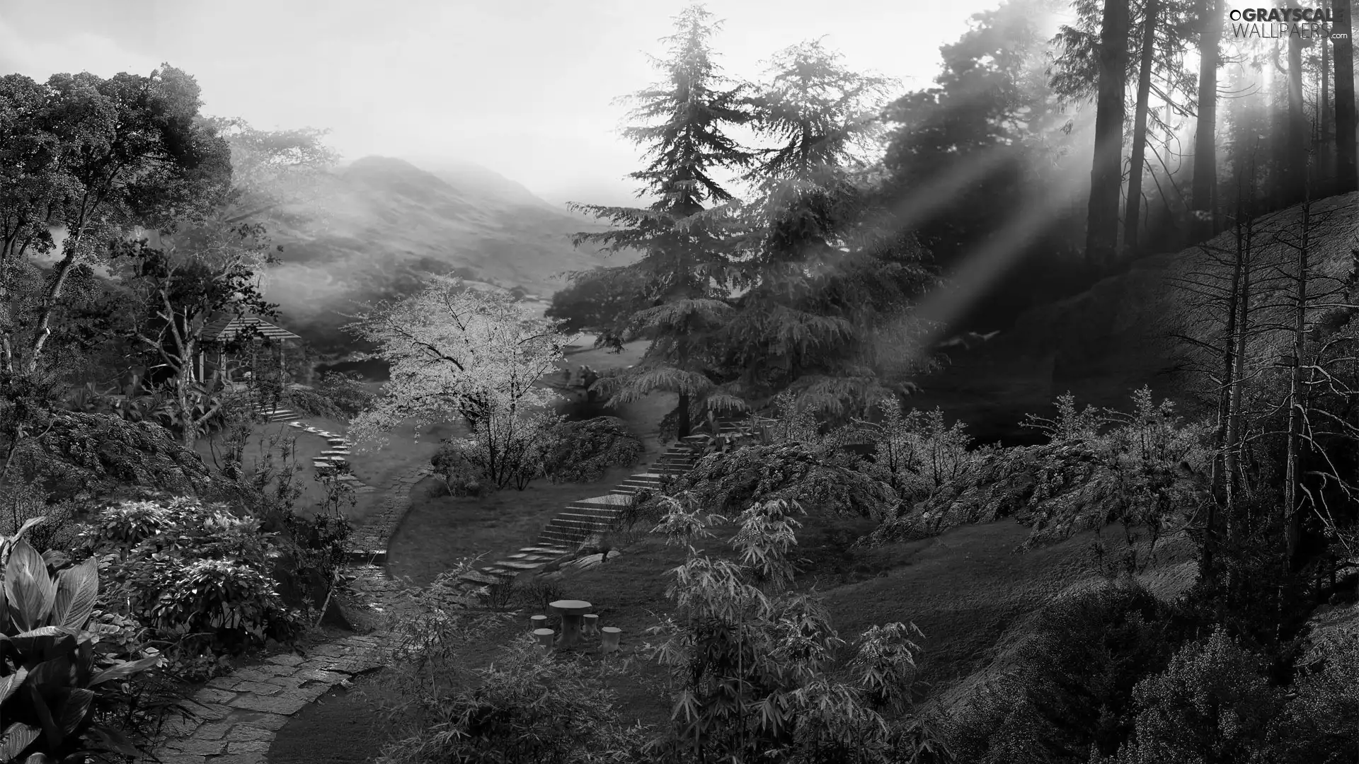 forest, China