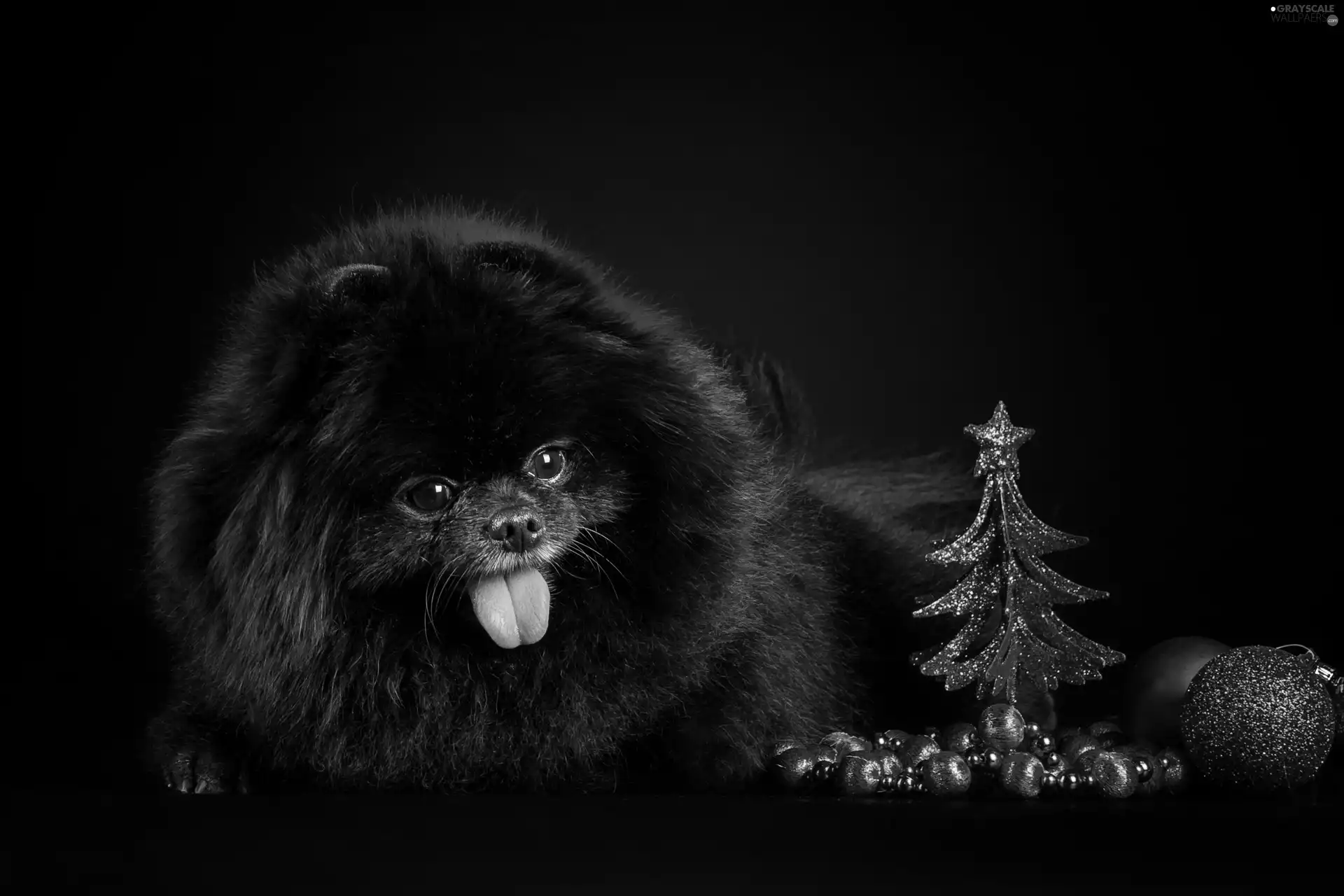 christmas tree, baubles, doggy, Tounge, Black