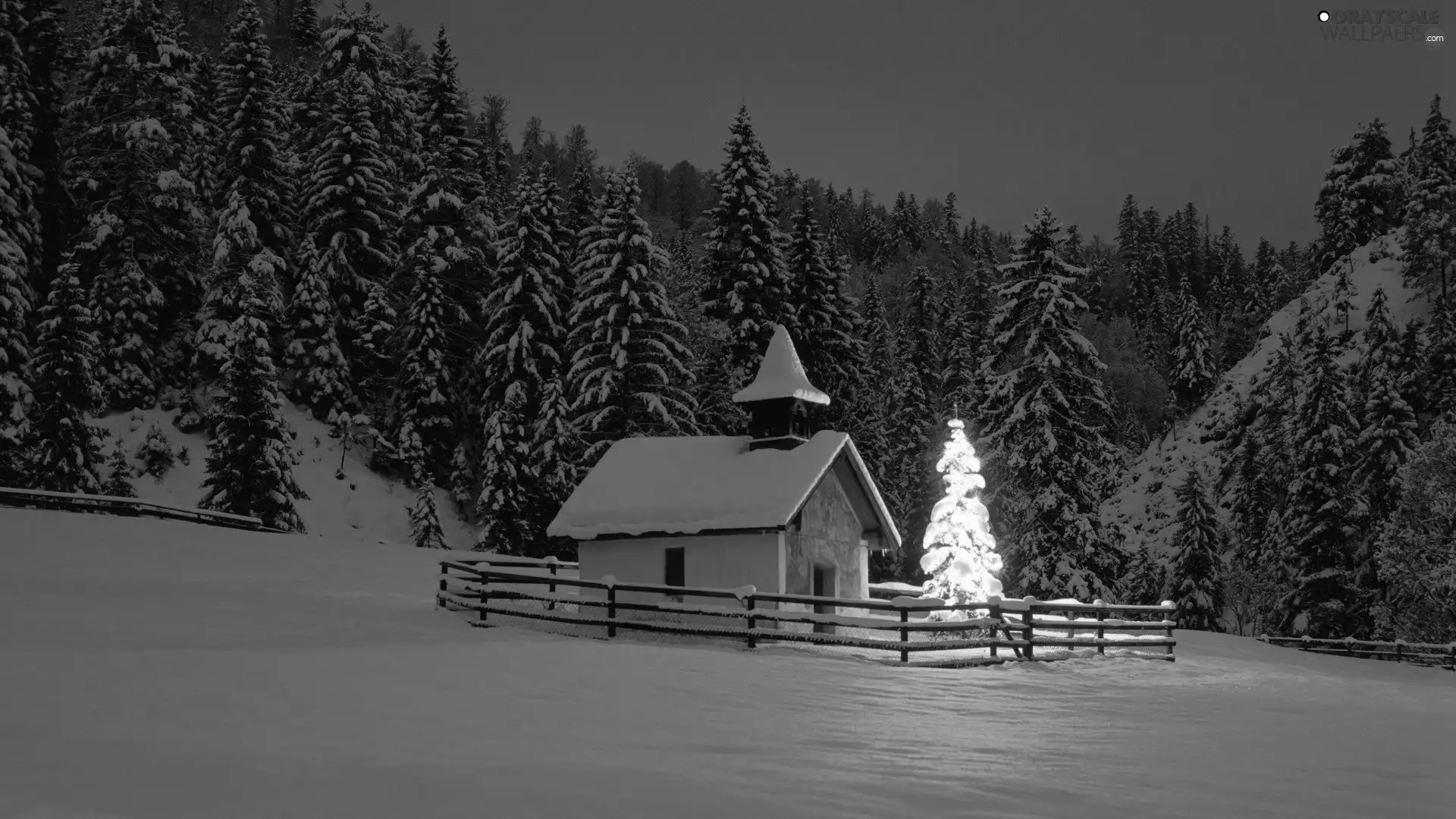 christmas tree, Christmas, house, forest, winter