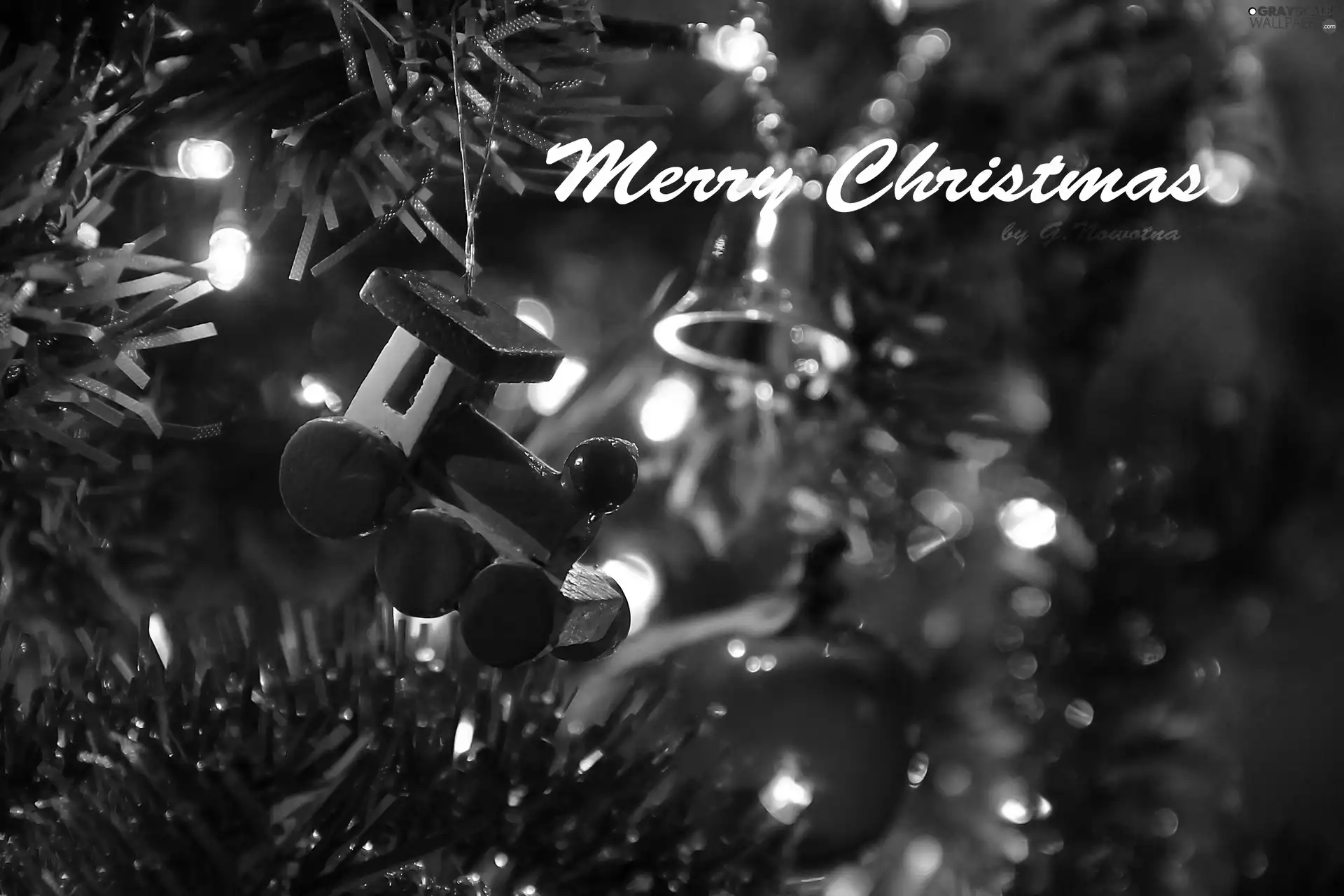 Christmas, Wishes, christmas tree, christmas, ornamentation