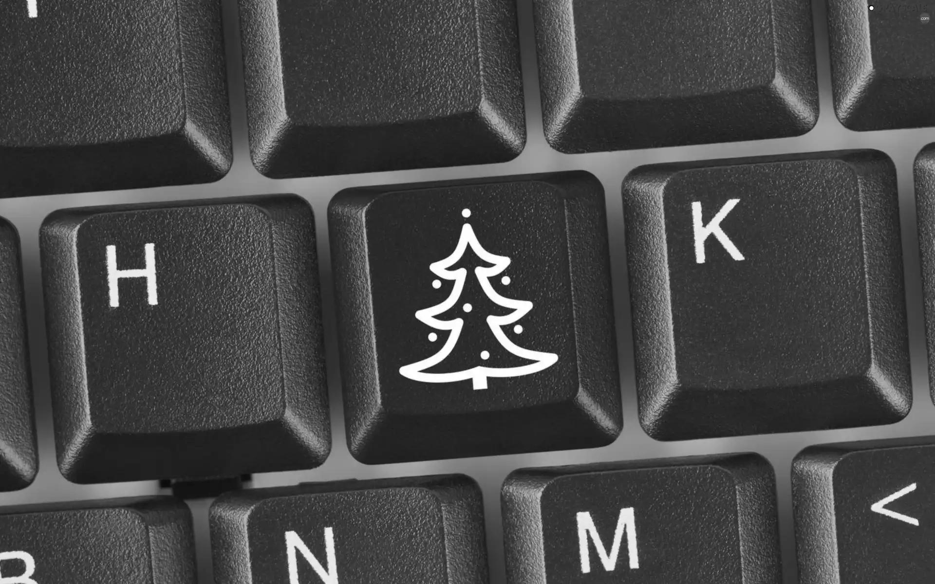 Christmas, keyboard, christmas tree