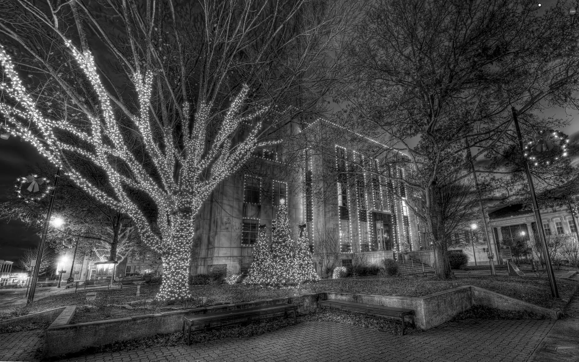 house, viewes, christmas tree, trees