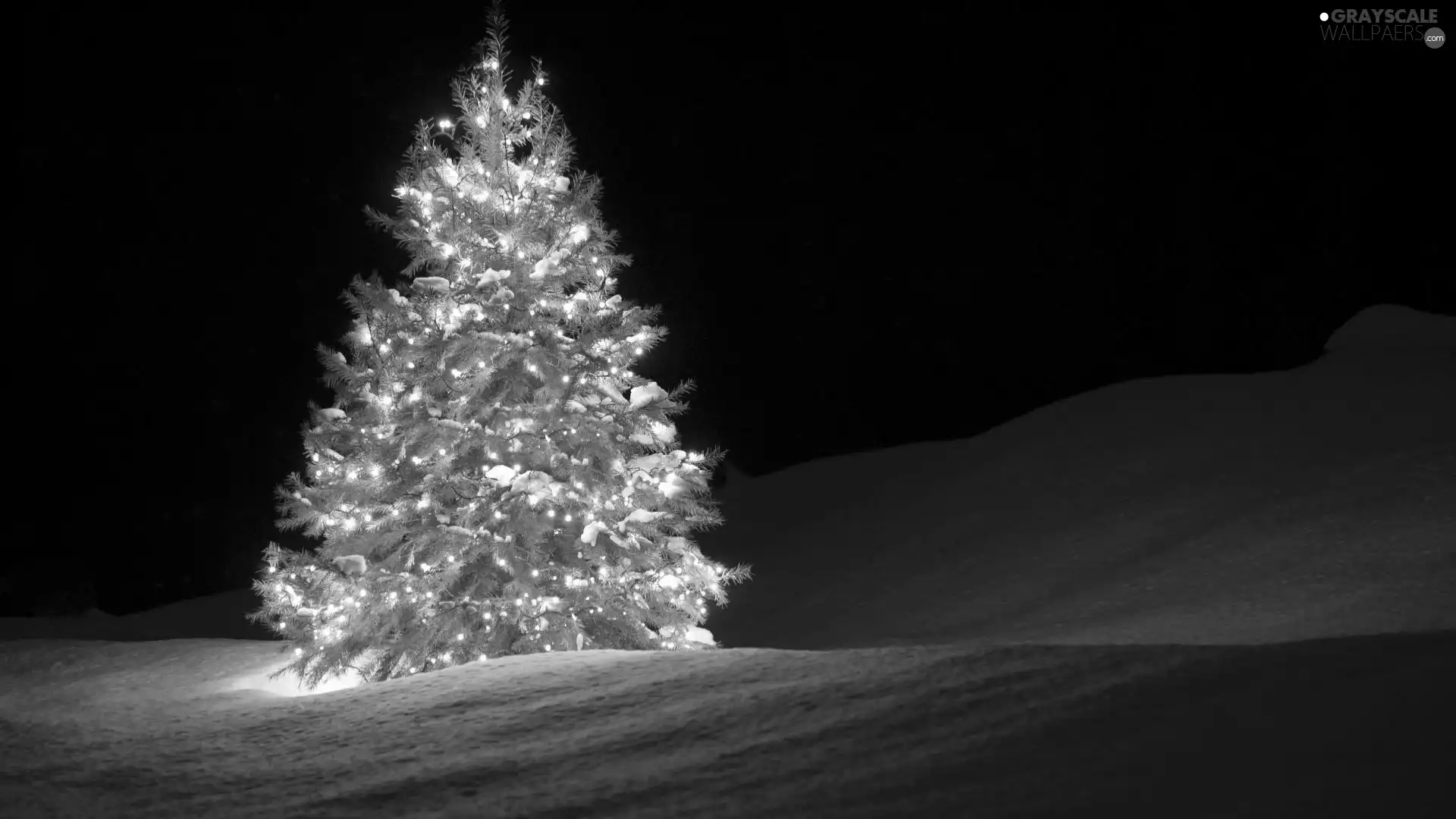 lights, Christmas, christmas tree