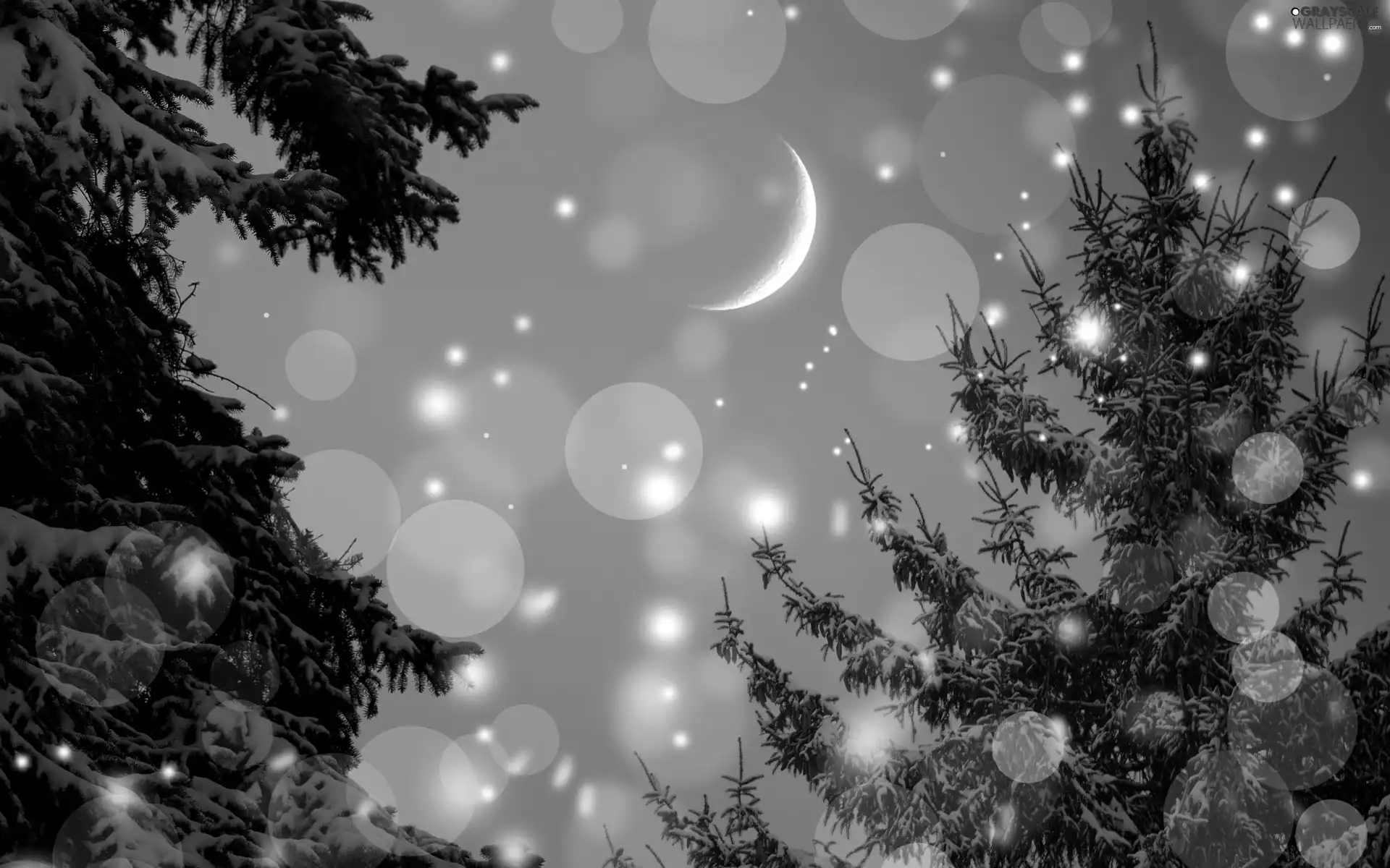 Christmas, winter, moon