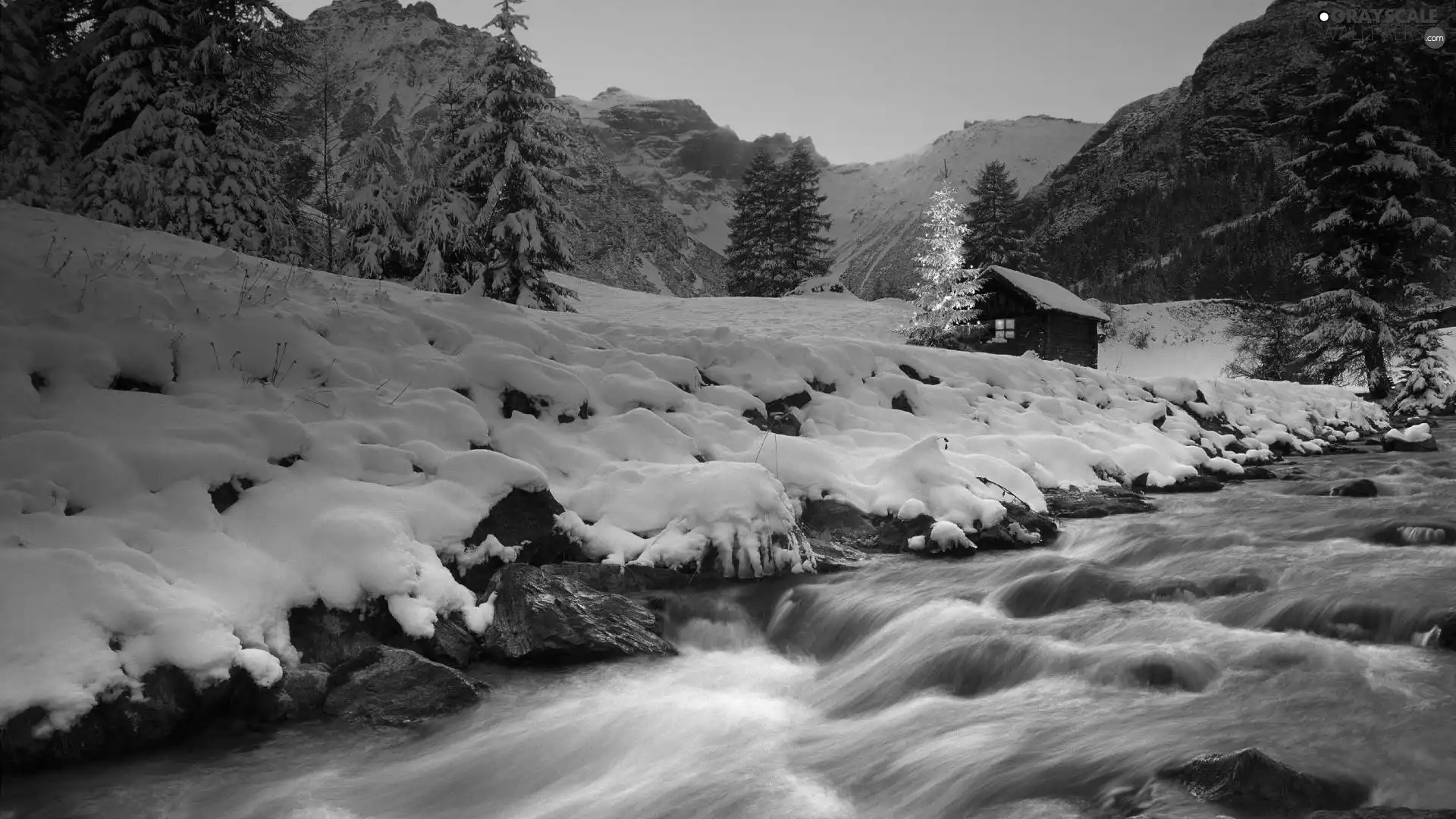 Home, River, lights, Mountains, forest, christmas tree, snow