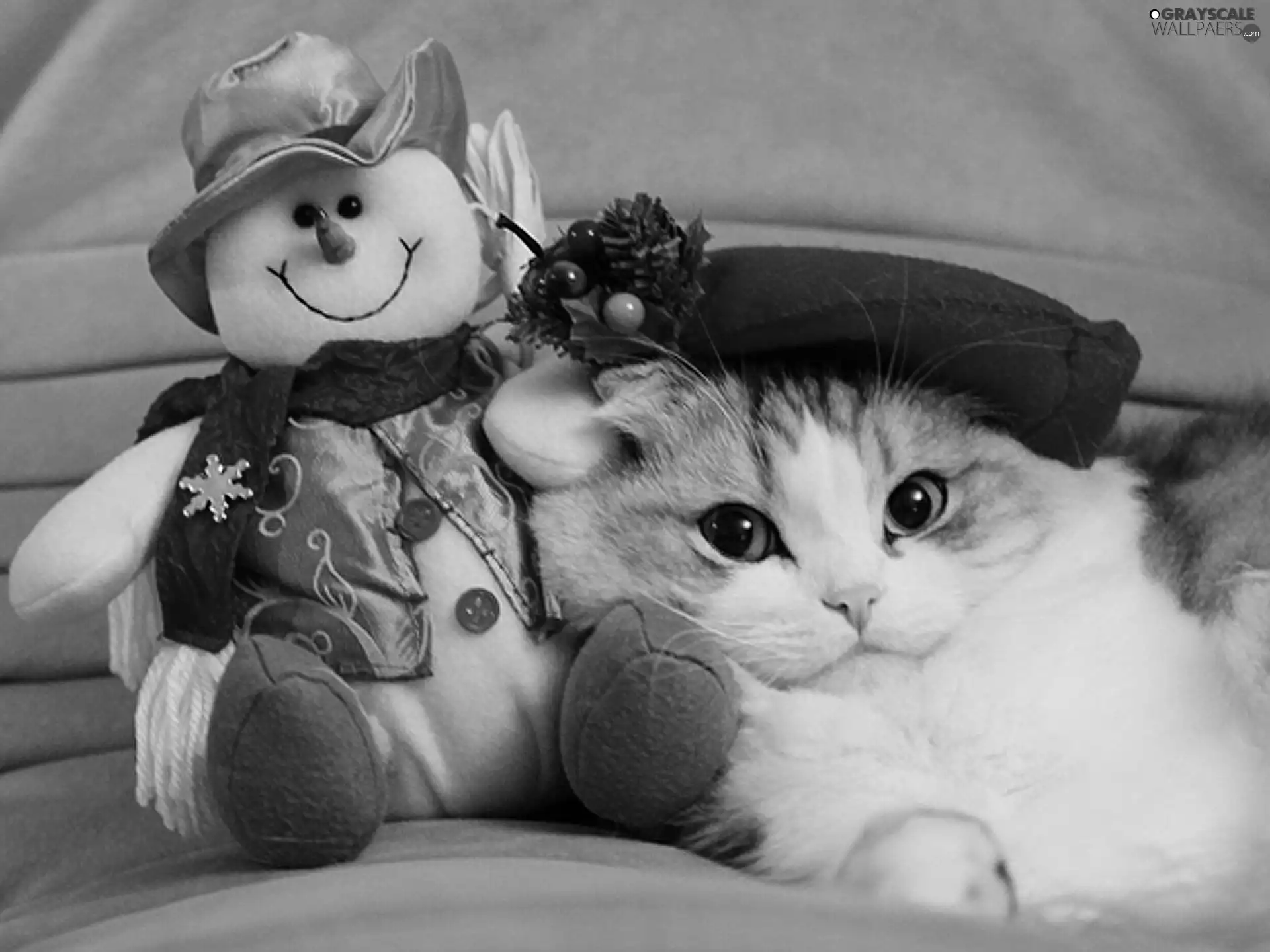 christmas, kitten, Snowman