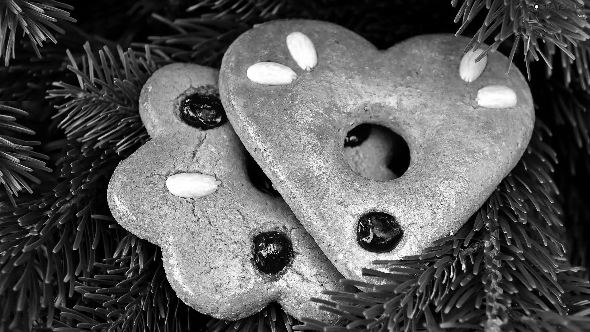 Christmas, ginger, Twigs