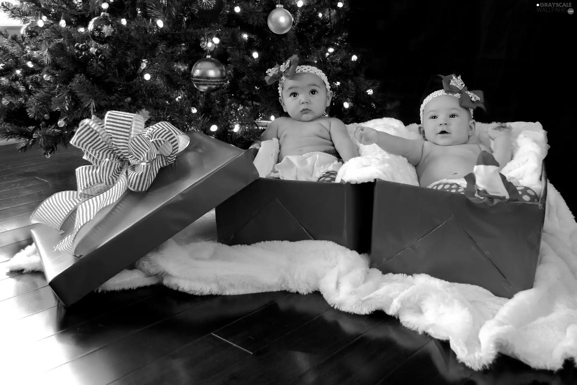 Two, gifts, christmas, girls