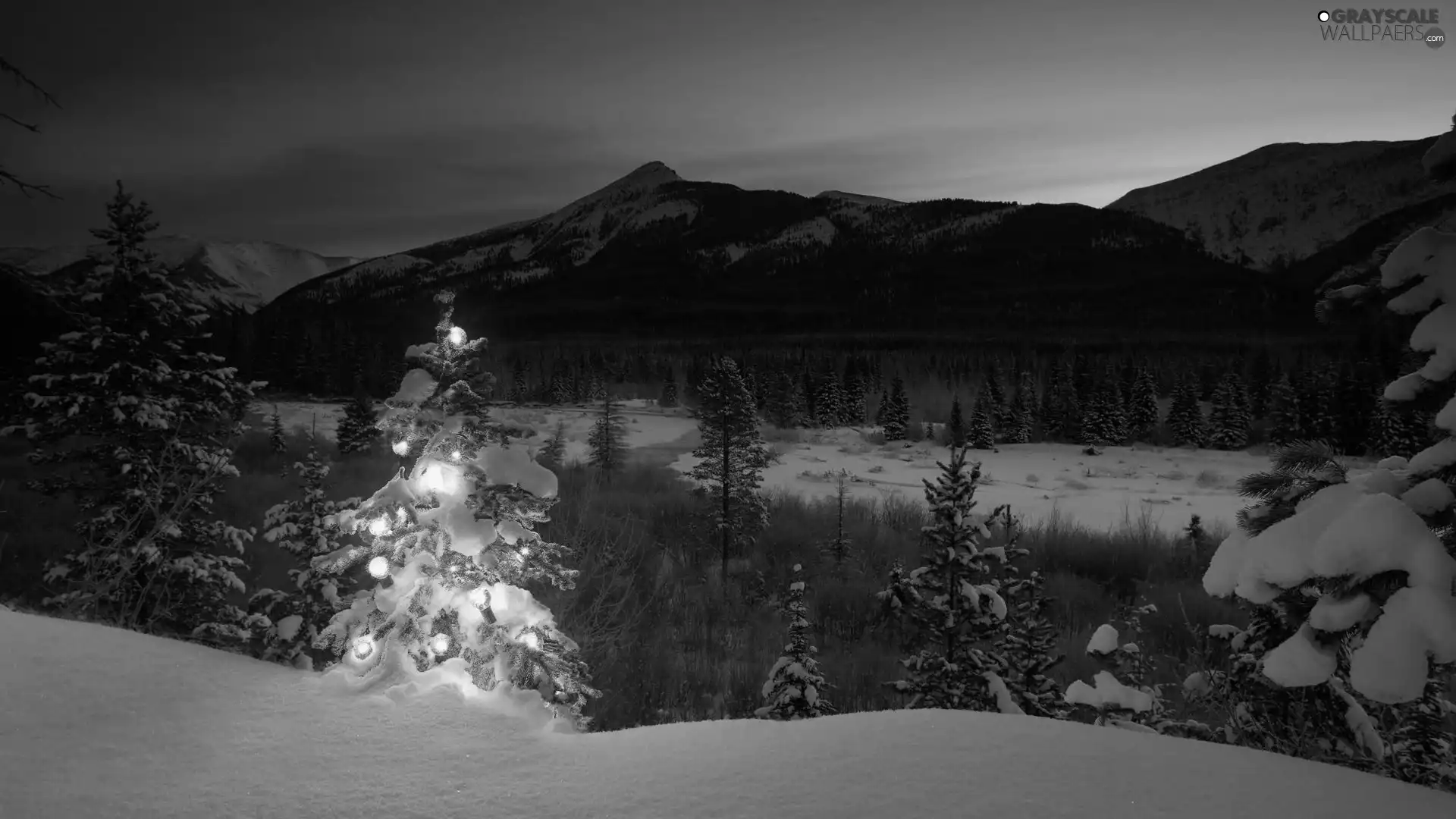 winter, illuminated, christmas tree, Mountains