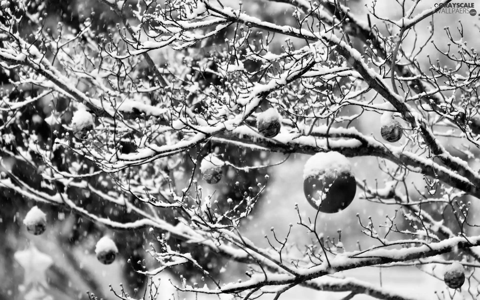 Christmas, winter, trees, baubles, Snowy