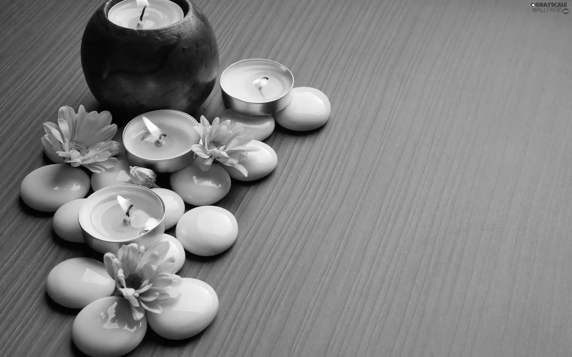 Flowers, chrysanthemum, Stones, Candles, Spa