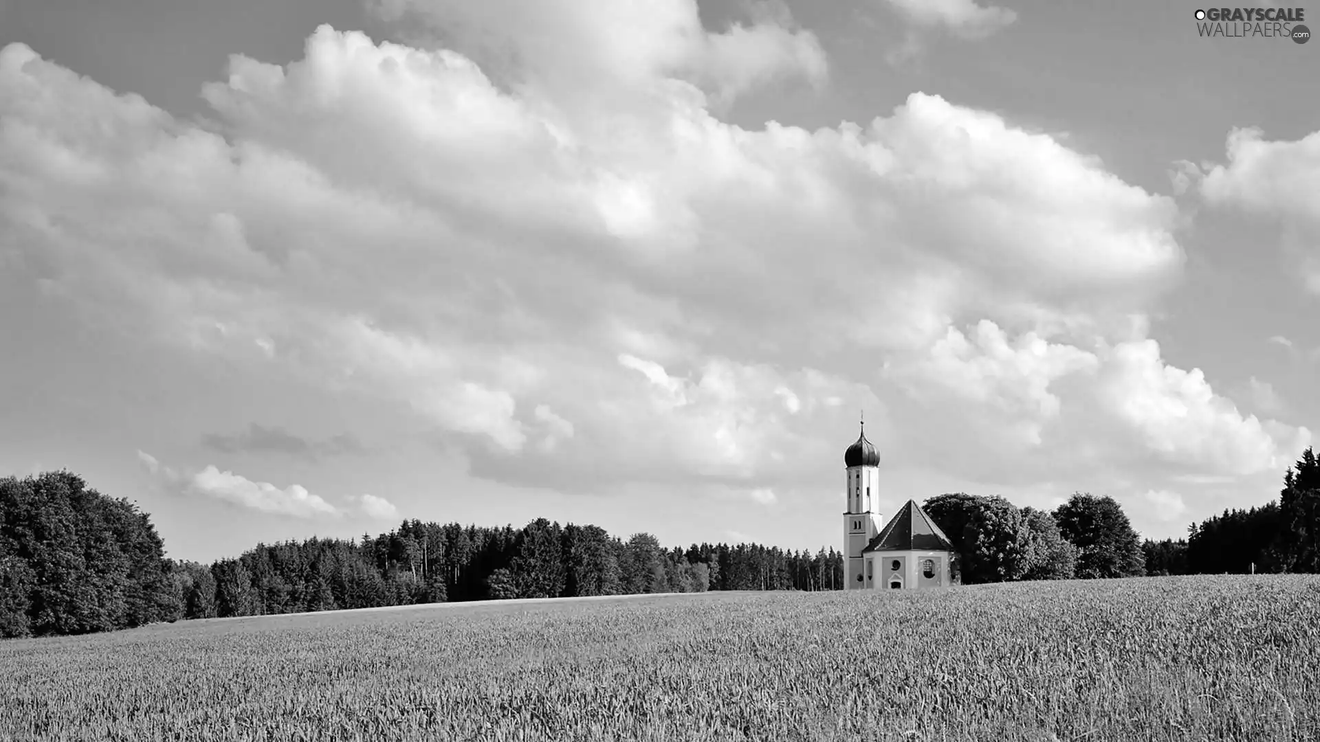 clouds, Field, Church, forest