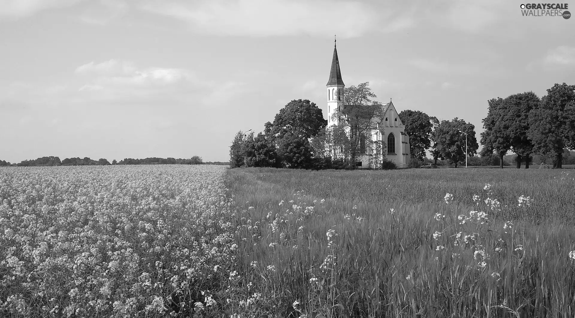 Church, Field, rape