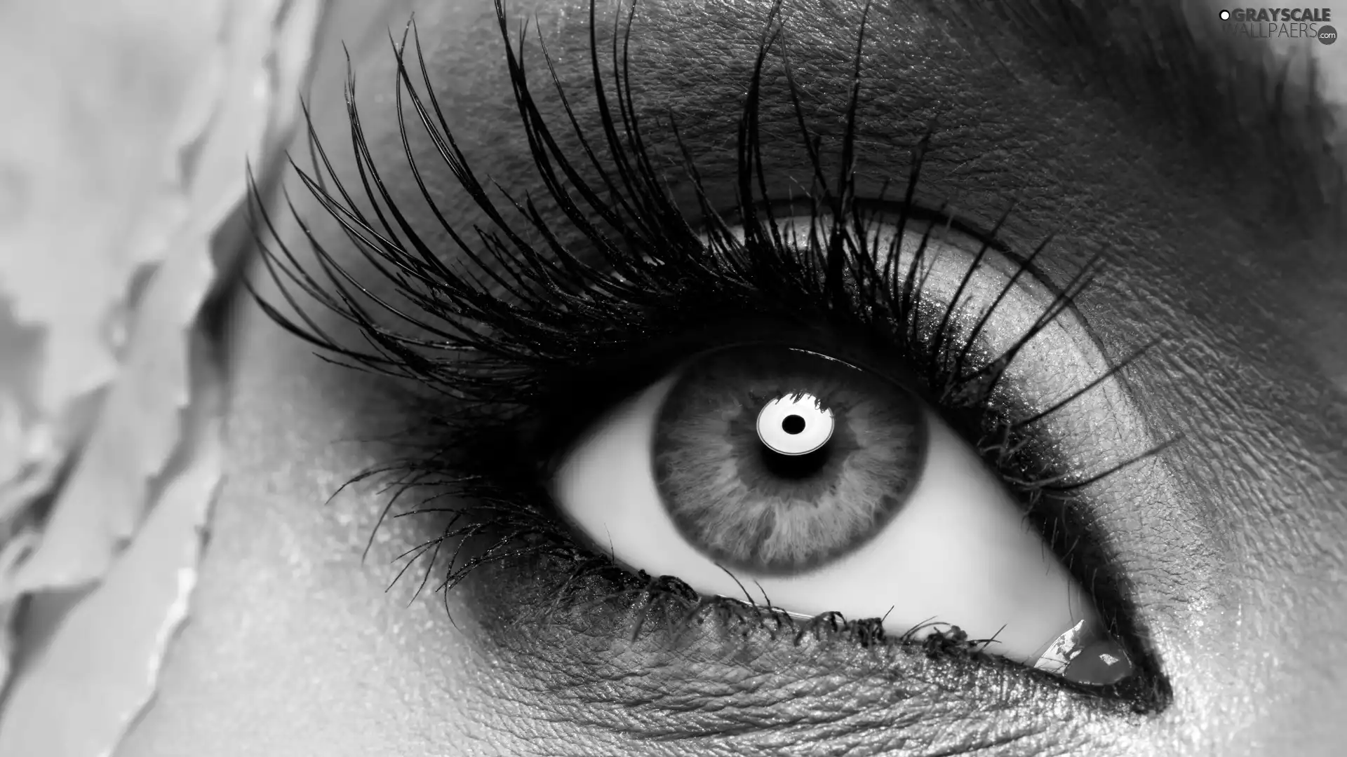 Women, make-up, cilia, eye